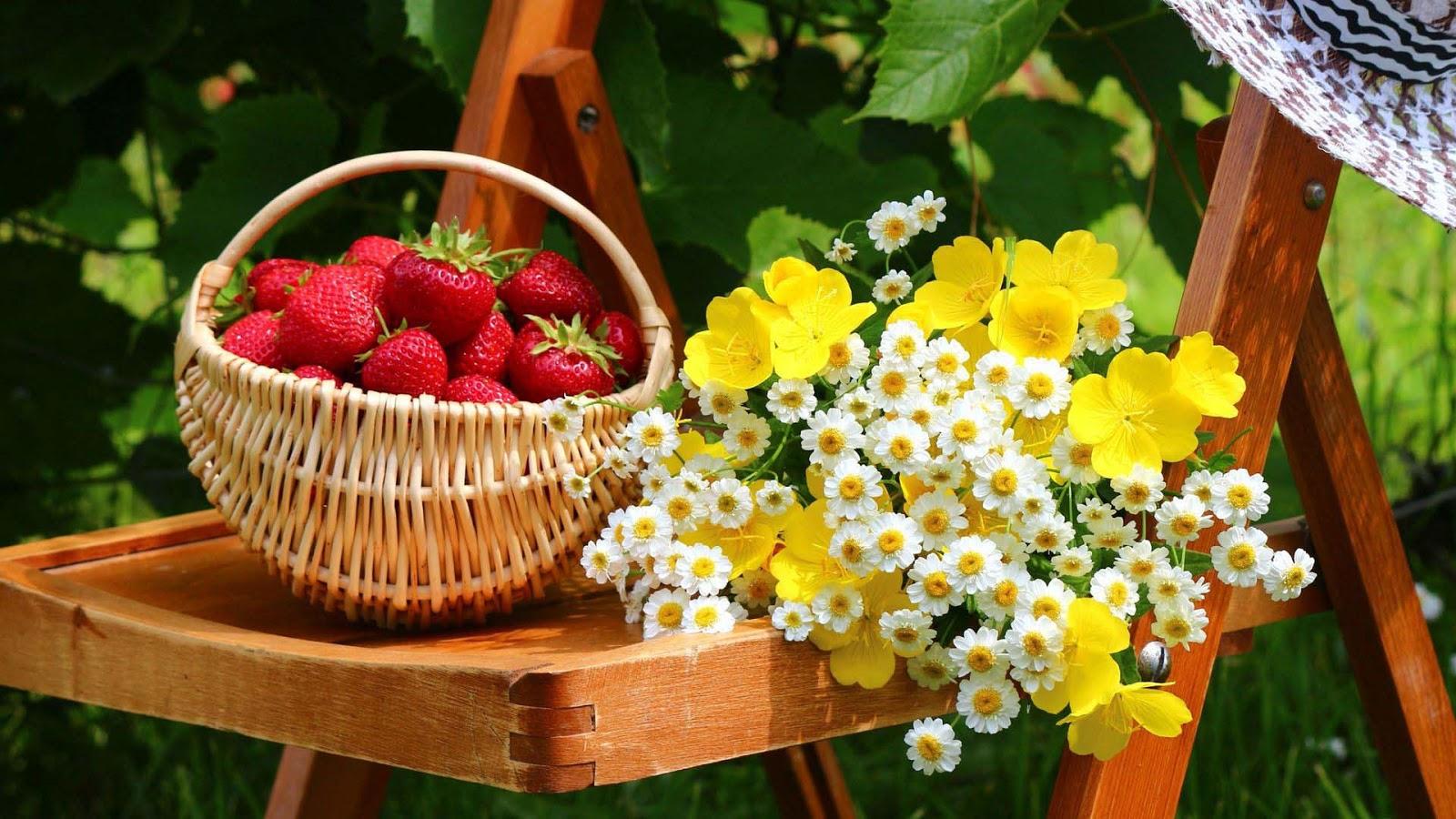 1600x900 fruits picture wallpaper, flower, plant, basket, strawberries, fruit