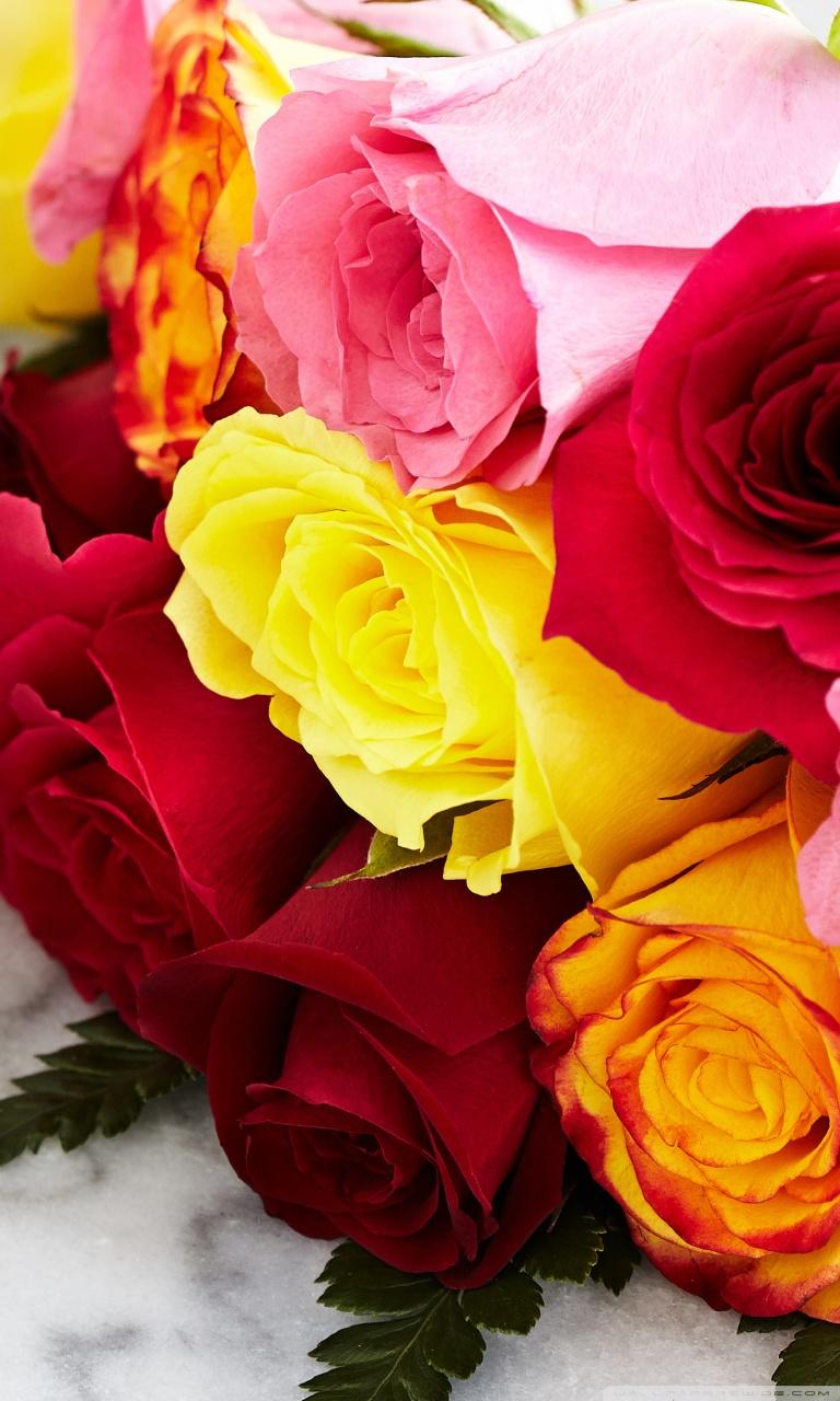 768x1280 Chocolate Dipped Strawberries and Colorful Roses Ultra HD Desktop Background Wallpaper for 4K UHD TV : Widescreen & UltraWide Desktop & Laptop : Multi Display, Dual Monitor : Tablet