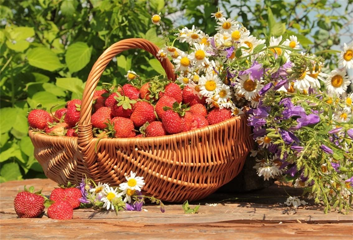 1134x772 Amazon.com : CSFOTO 7x5ft Background for Orchard Harvest Basket of Strawberries Gardening Photography Backdrop Beautiful Summer Spring Autumn Garden Thanksgiving Picnic Photo Studio Props Polyester Wallpaper
