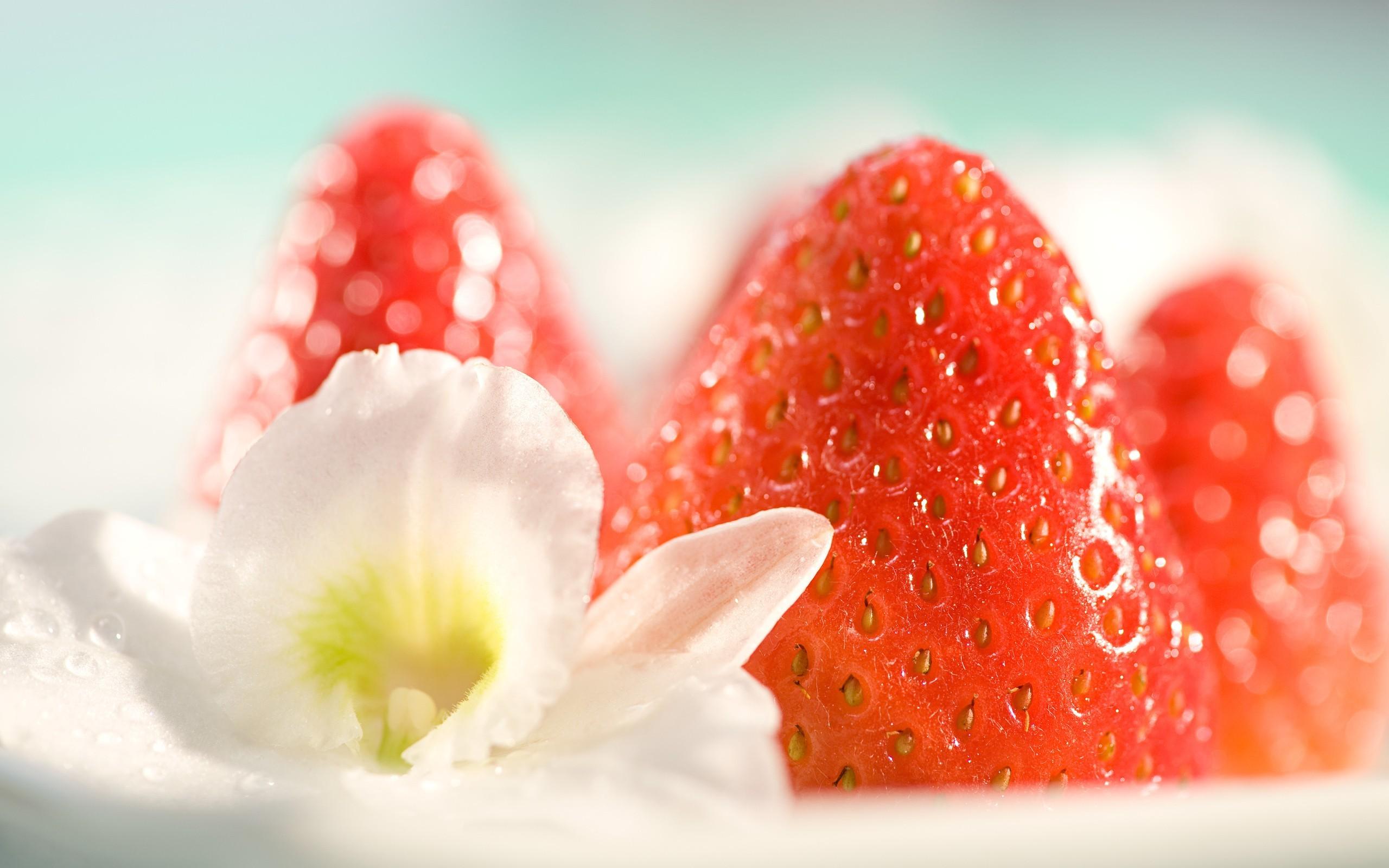 2560x1600 photography macro fruit food flowers strawberries wallpaper