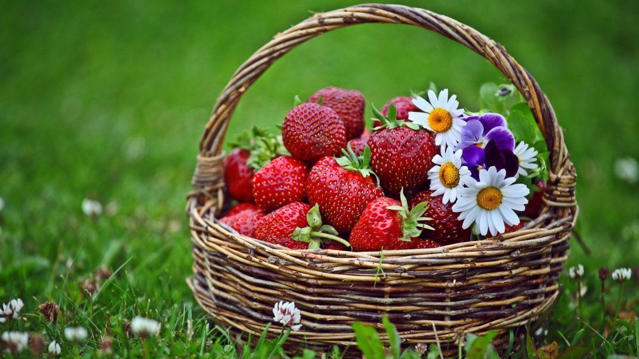 1244x700 Flowers grass spring strawberries baskets wallpaperx1080