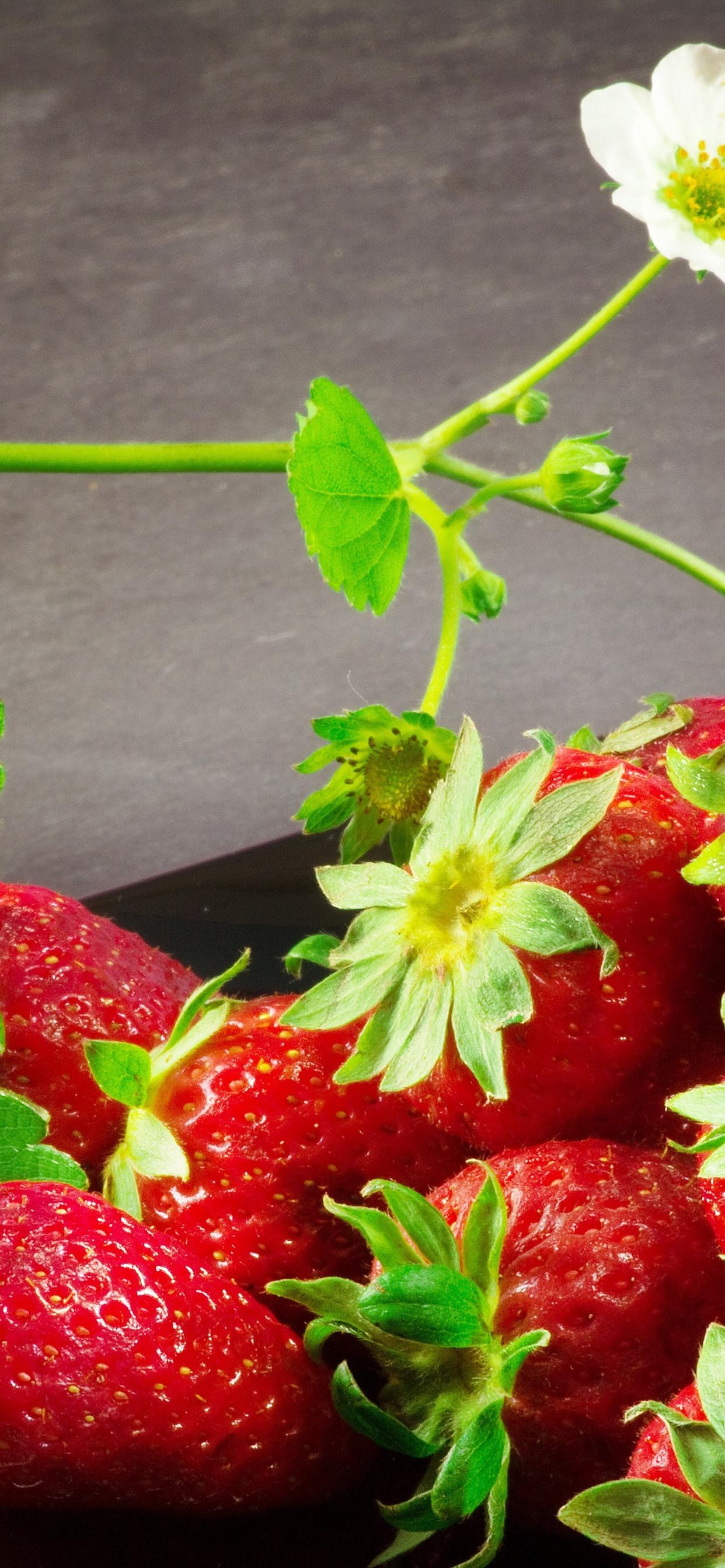 1242x2688 Fresh Strawberry, Flowers, Delicious Fruit 1242x2688 IPhone 11 Pro XS Max Wallpaper, Background, Picture, Image