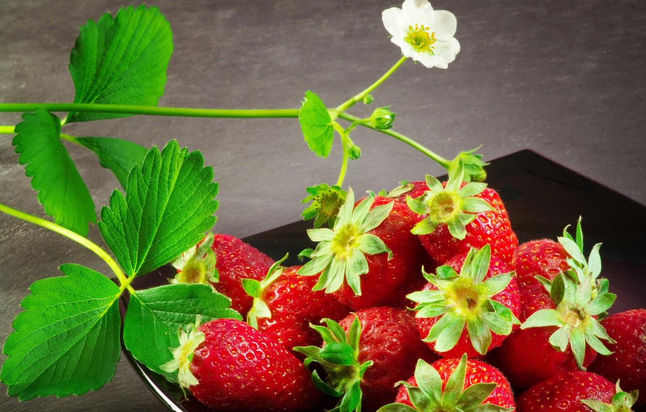 1332x850 Wallpaper leaves, flowers, strawberries, berry image for desktop, section еда