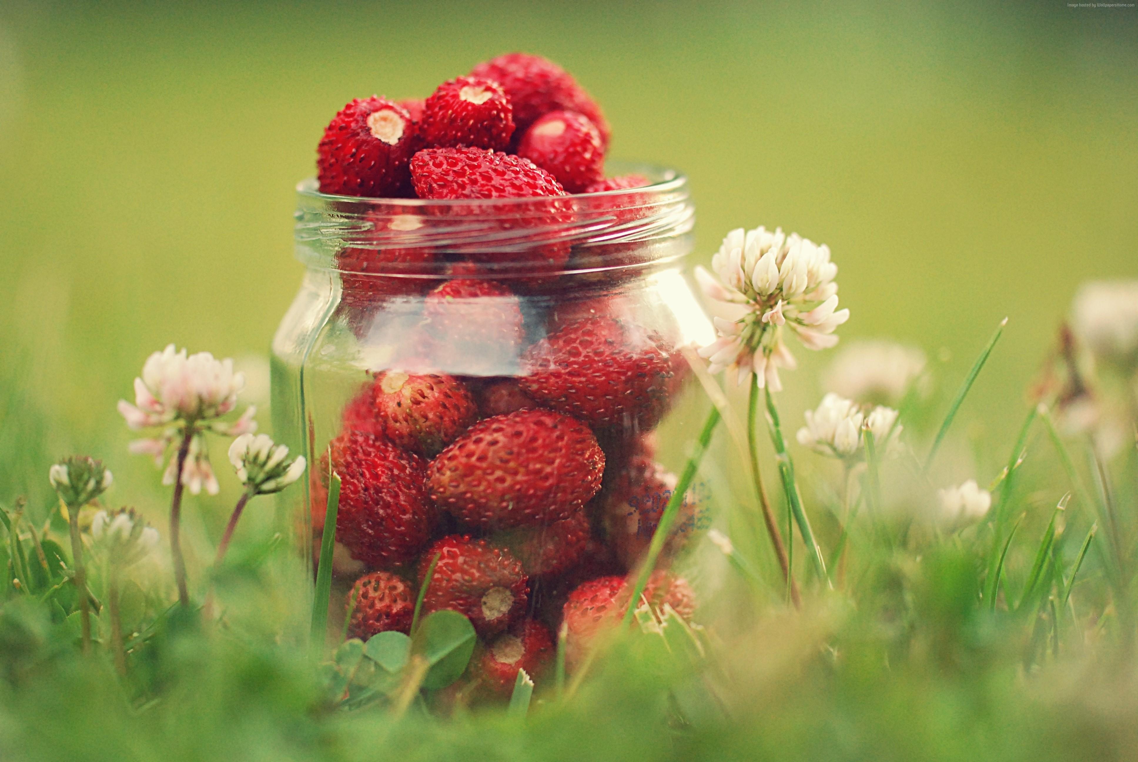 3872x2592 #greens, #strawberries, #flowers, #bokeh, #dandelions HD Wallpaper