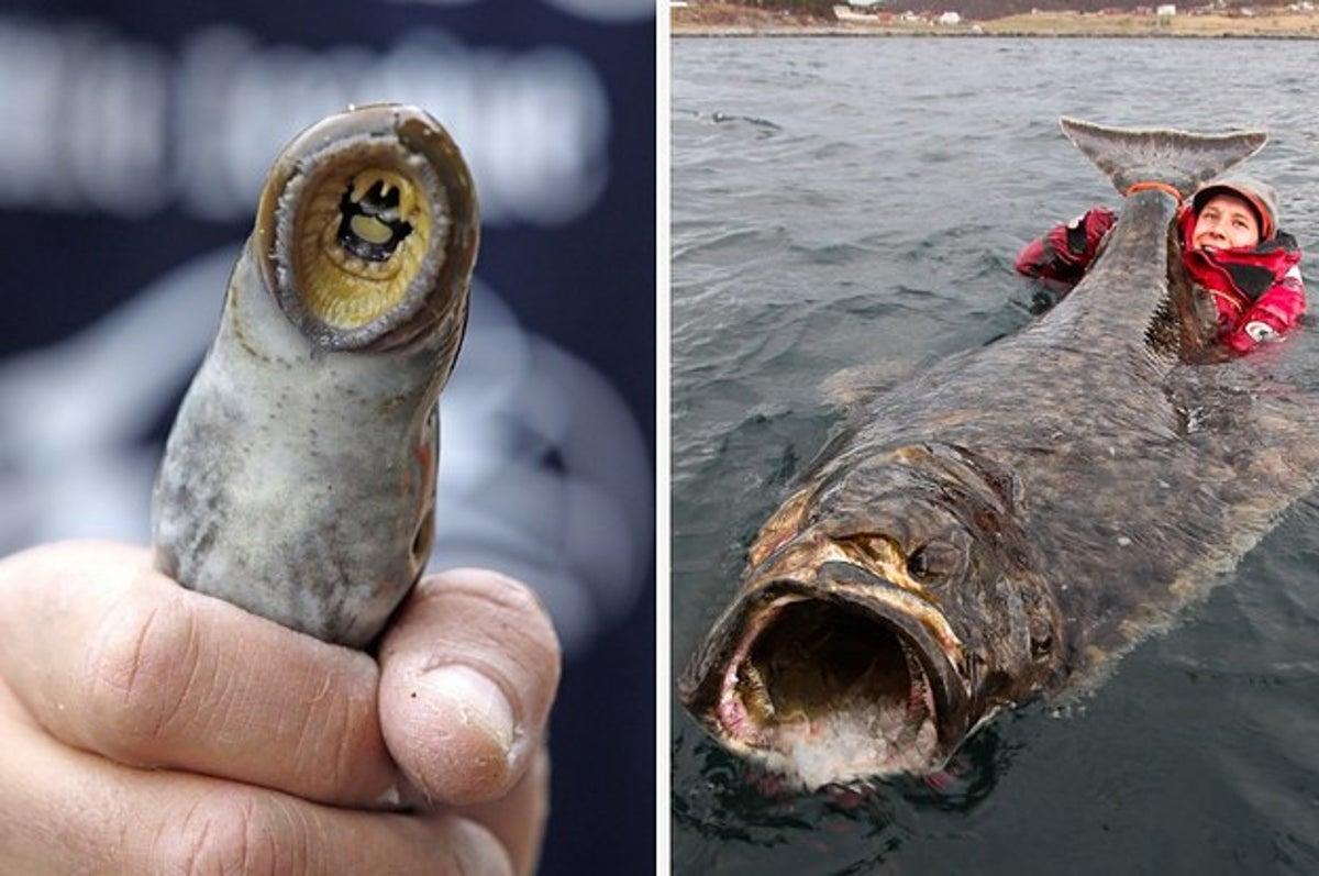 1200x797 Picture That Will Make You Say Damn Nature, You Scary