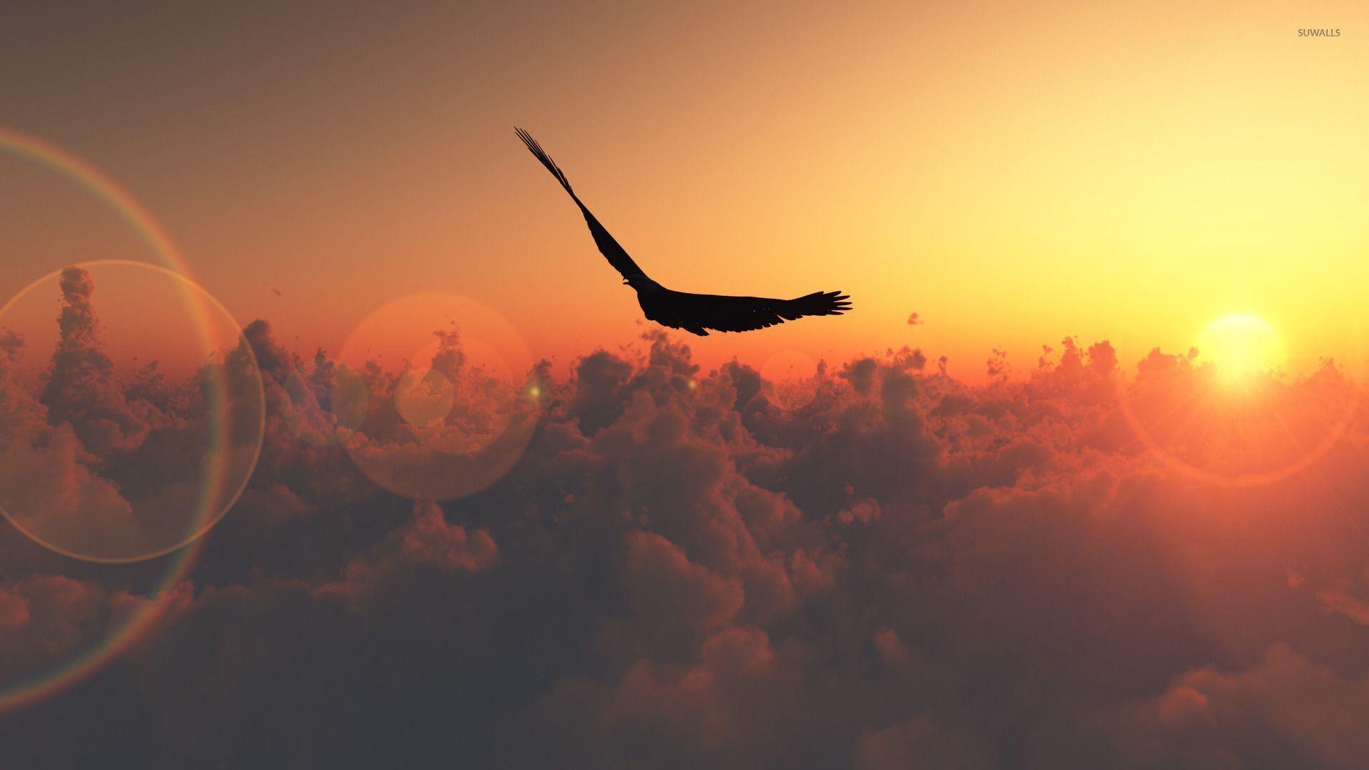 1920x1080 Bird flying in the sunset wallpaper Art wallpaper