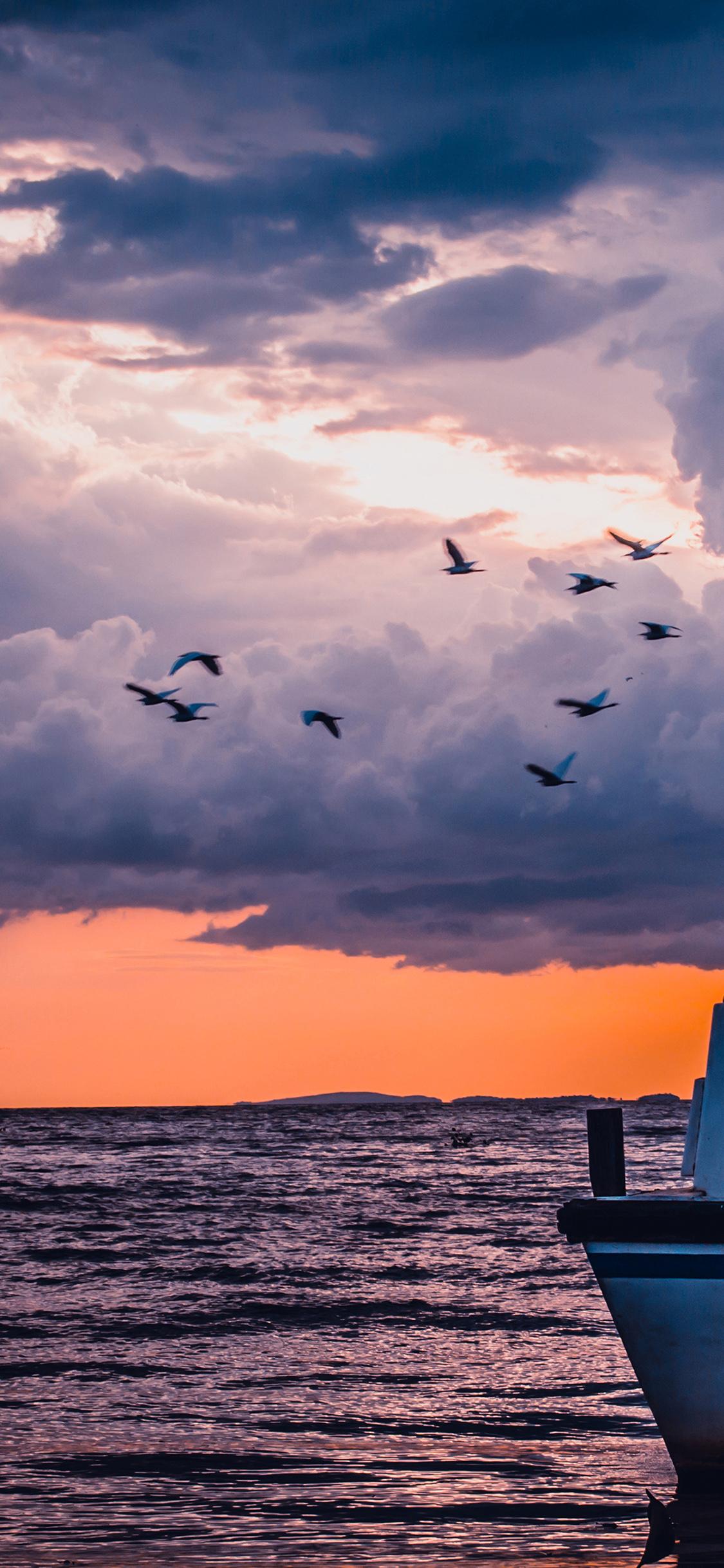1125x2436 iPhone X wallpaper. sea sunset birds sky ocean ship nature blue