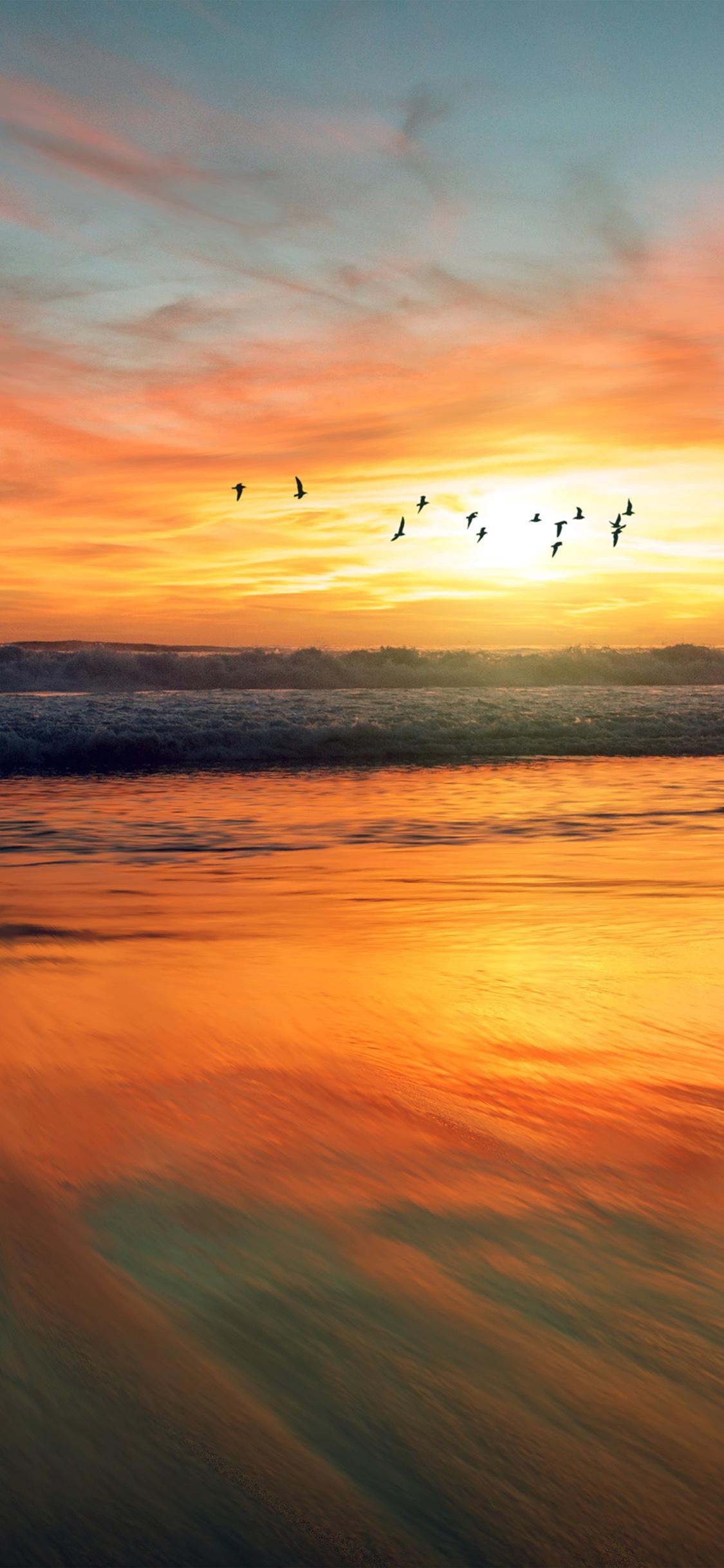 Sunset Bird Wallpapers - Top Free Sunset Bird Backgrounds - WallpaperAccess