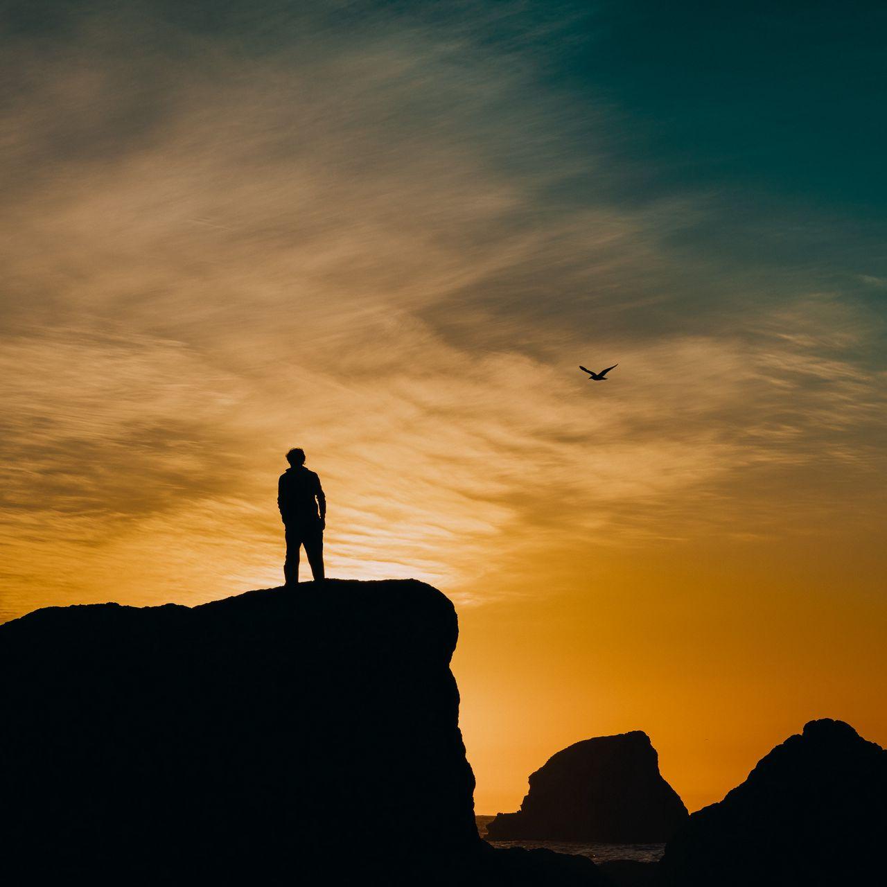 1280x1280 Download wallpaper 1280x1280 silhouette, rocks, sunset, sea, bird ipad, ipad ipad mini for parallax HD background