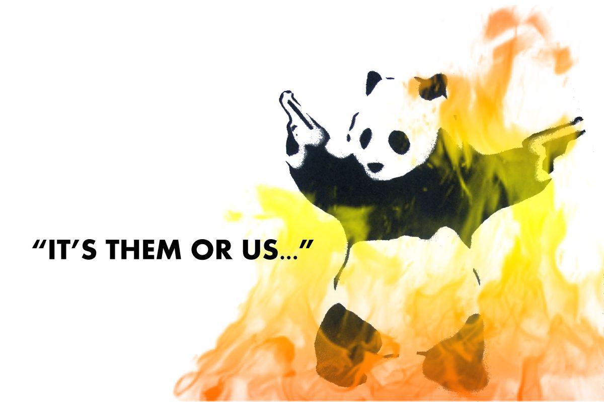 1200x800 Crazy Panda Wallpaperx800