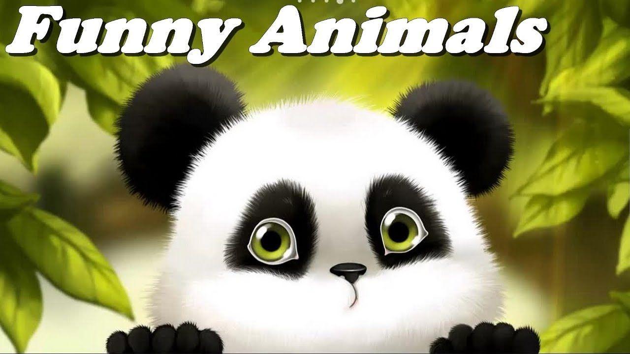 1280x720 Funny Animals Compilation. Bonheur. Funny animal