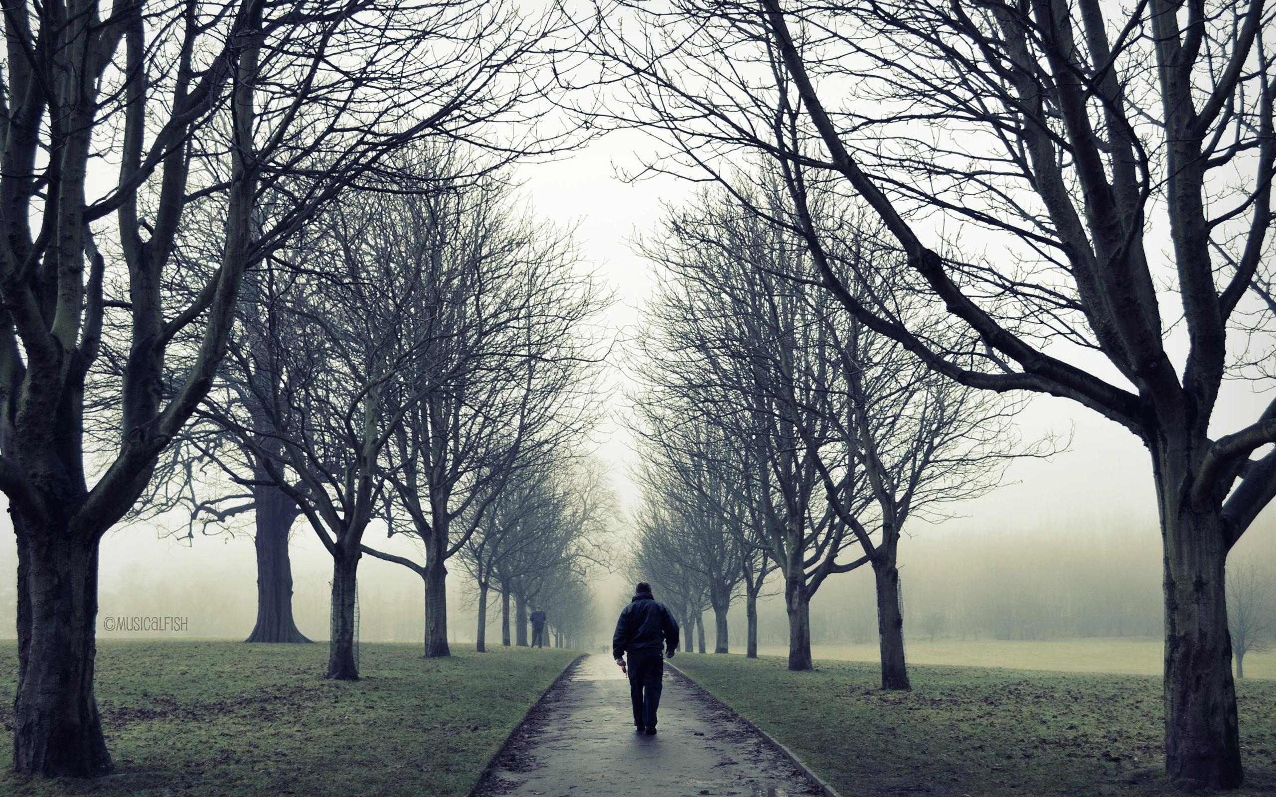 2560x1600 Lonely Man In Road Alone In Park