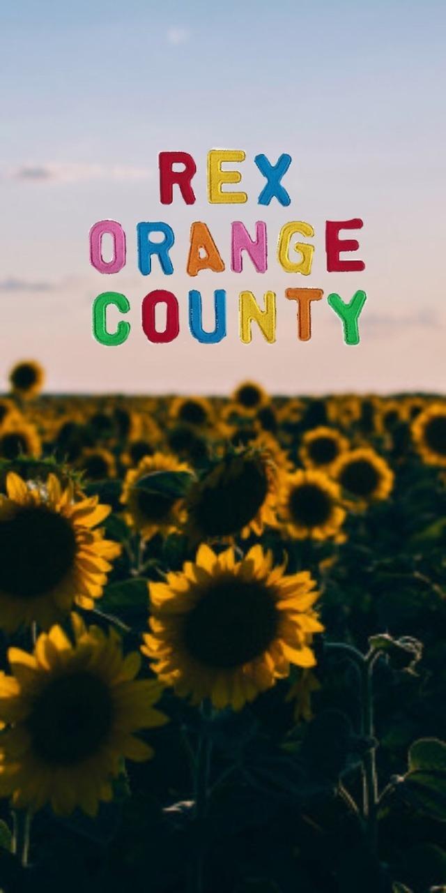640x1280 Free wallpaper