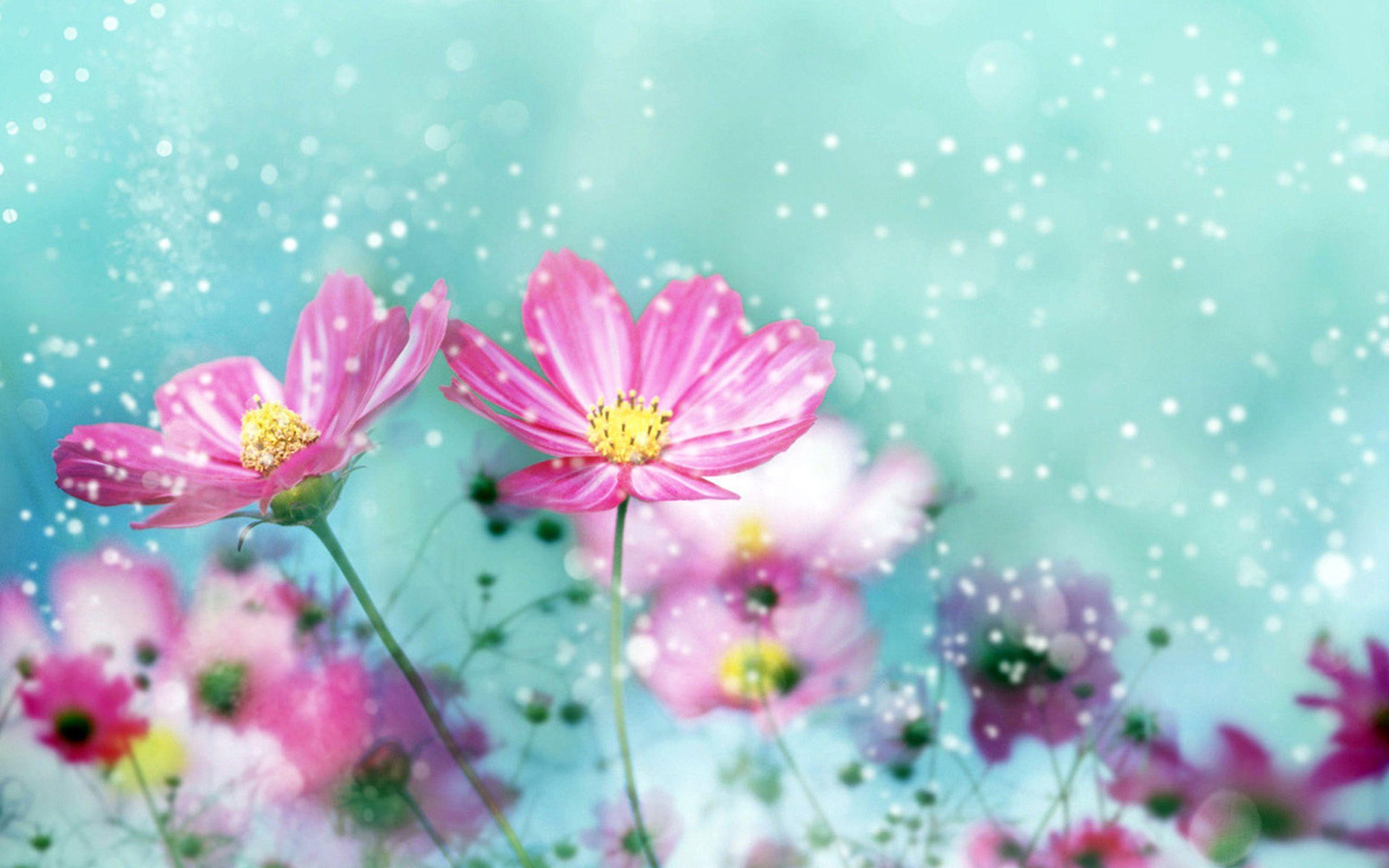 Cute Flower Computer Wallpapers - Top Free Cute Flower Computer ...