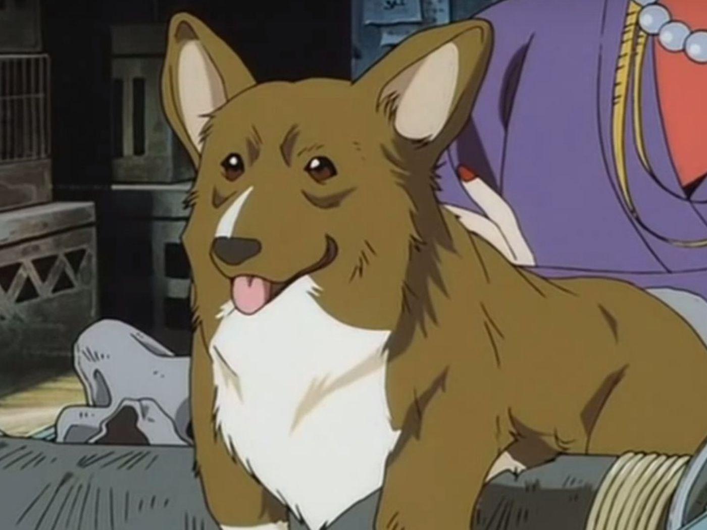 Cowboy Bebop Dog Wallpapers - Top Free Cowboy Bebop Dog Backgrounds