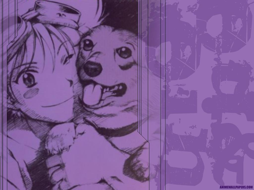 1024x768 animal cowboy bebop dog edward wong hau pepelu tivrusky iv ein (cowboy bebop) goggles monochrome short hair watermark. konachan.com.com Anime Wallpaper
