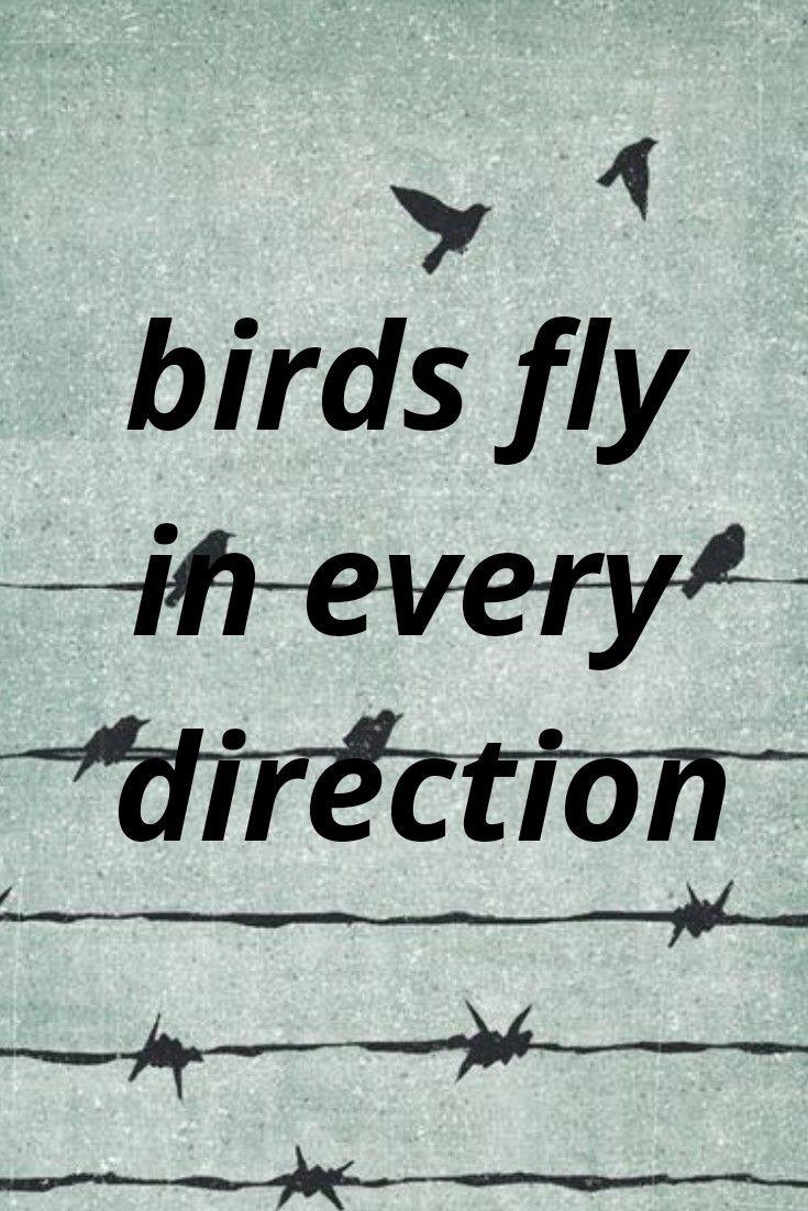735x1102 Lyrics. Imagine dragons, Frases de musicas, Musicas trechos de
