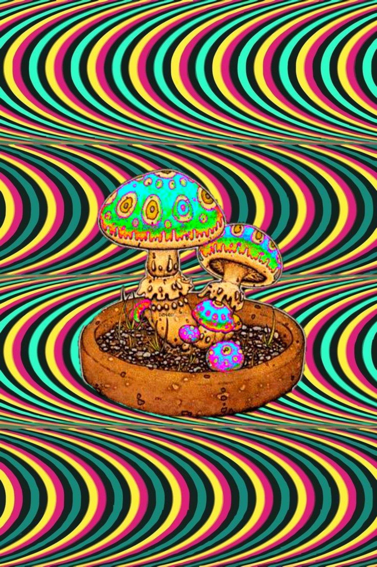 1204x1807 Psychedelic Aesthetic Wallpaper