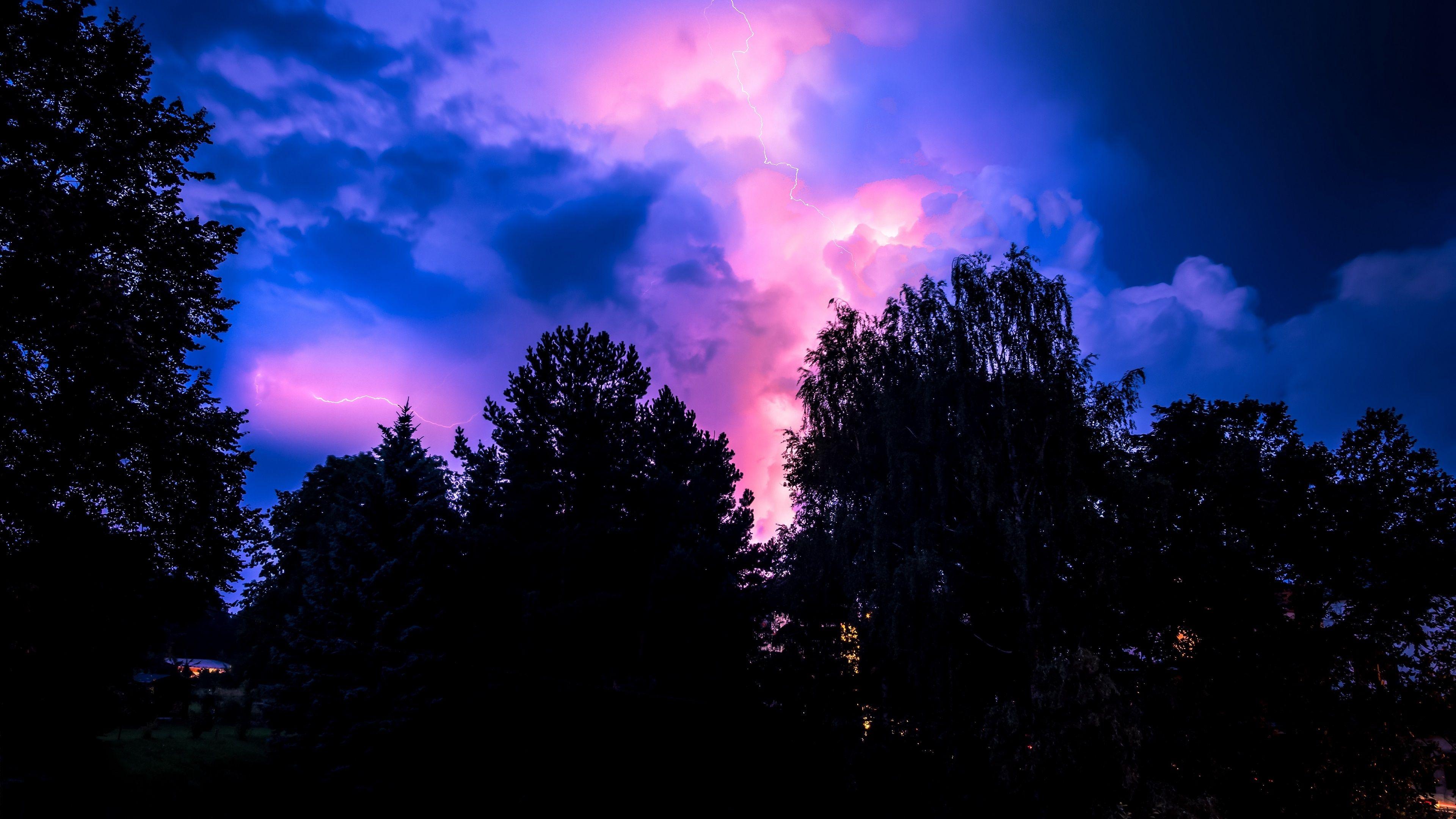 3840x2160 Colorful Sky Above The Trees Wallpaper. Wallpaper Studio 10. Tens