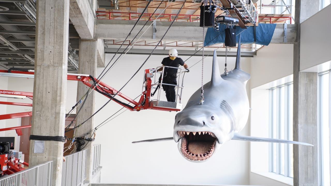 1280x720 PHOTOS: Surviving Jaws shark finds home at Academy Museum Los Angeles
