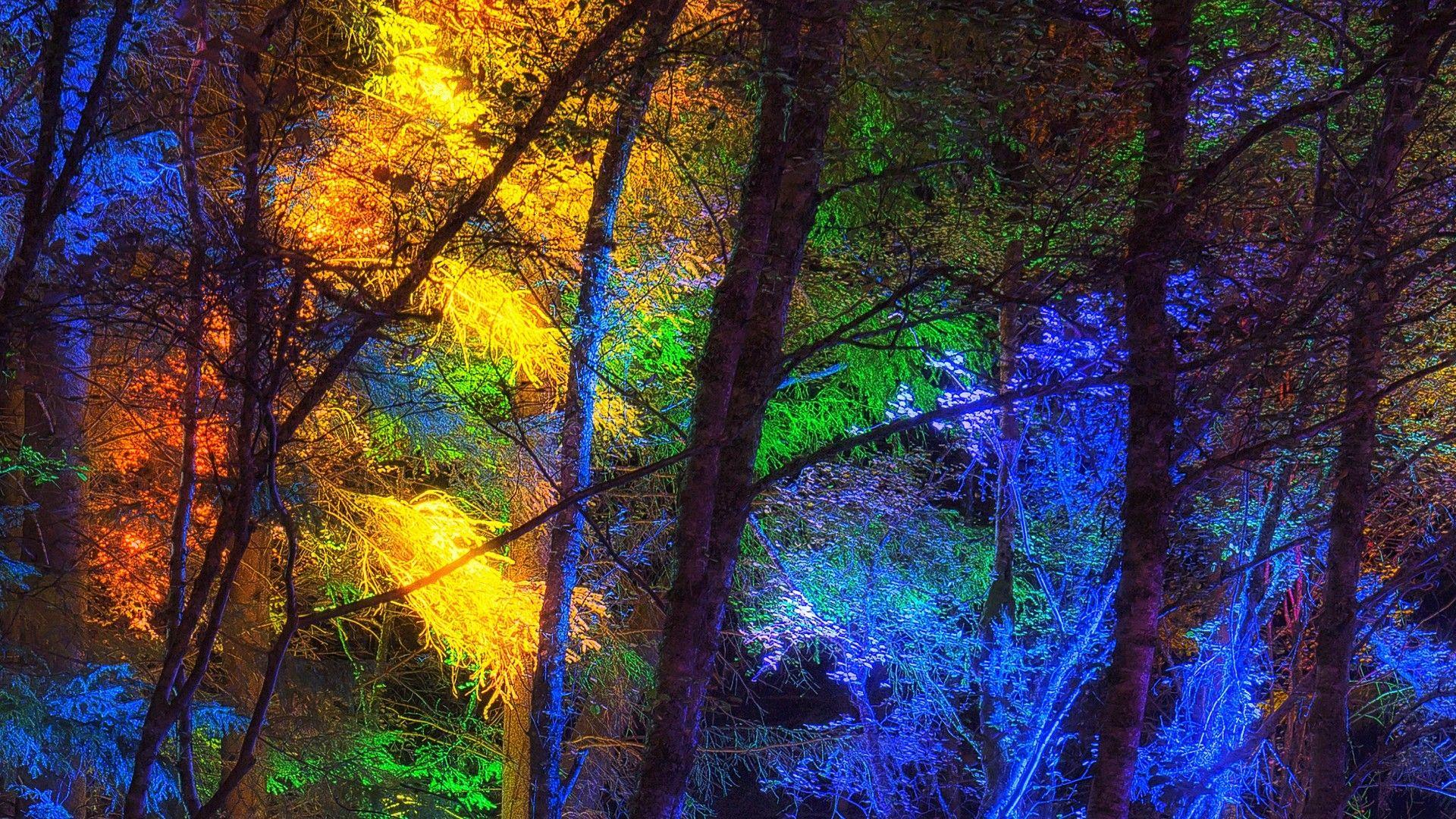 1920x1080 Colorful Forest Wallpaper. Wallpaper Studio 10. Tens of thousands