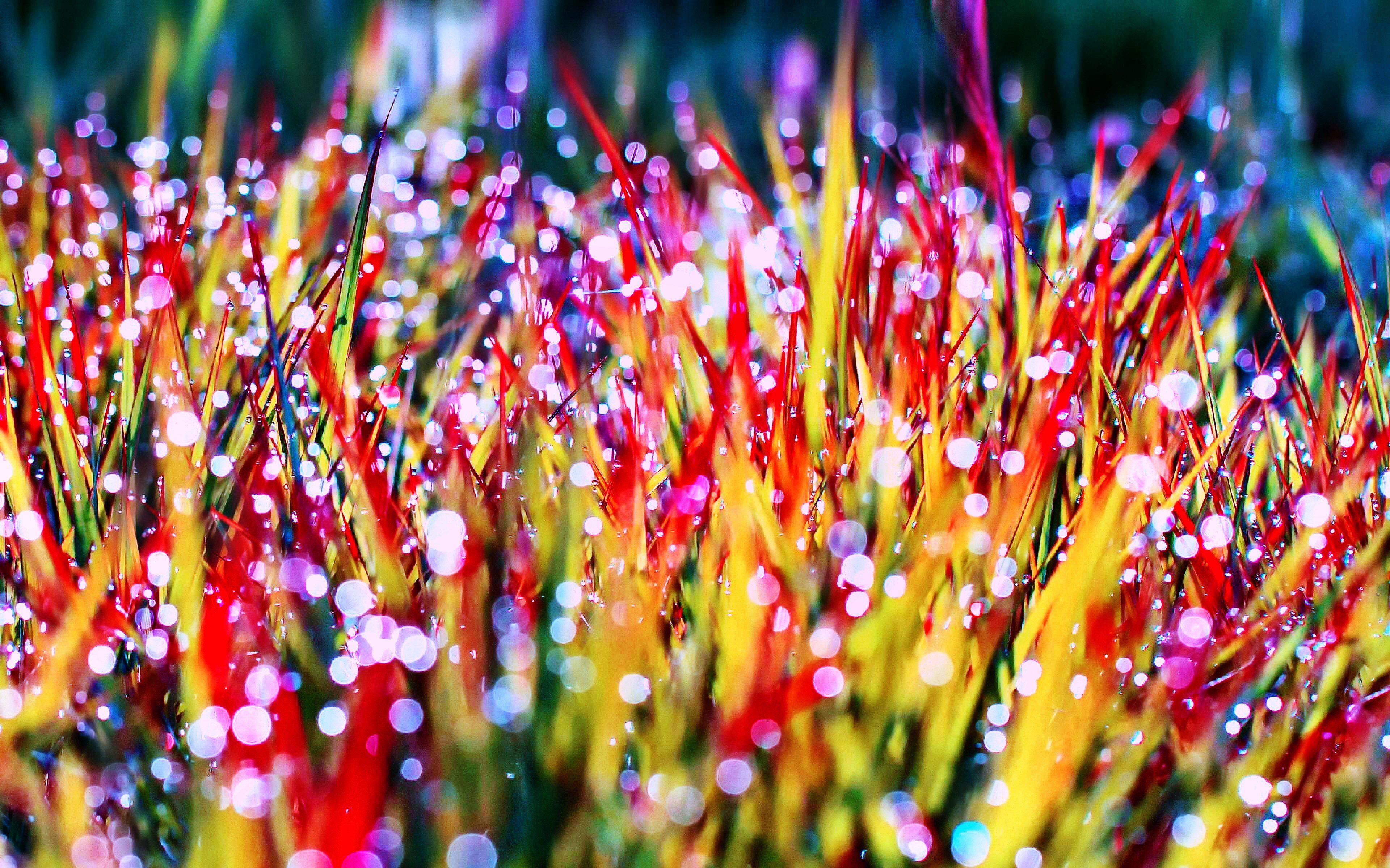 3840x2400 NATURE [45] colorful spring [15april2015wednesday] [105648