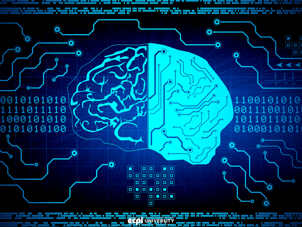 1024x768 Reasons Why Information Systems Are Important for Business Today