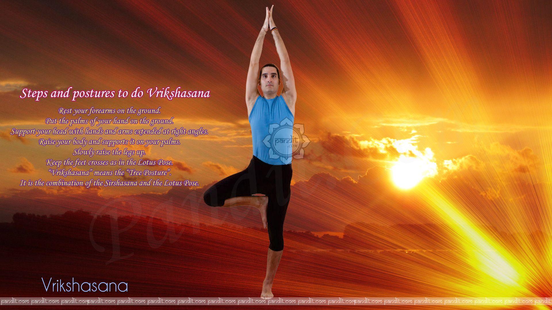 1920x1080 Vriksasana Yoga Wallpaper