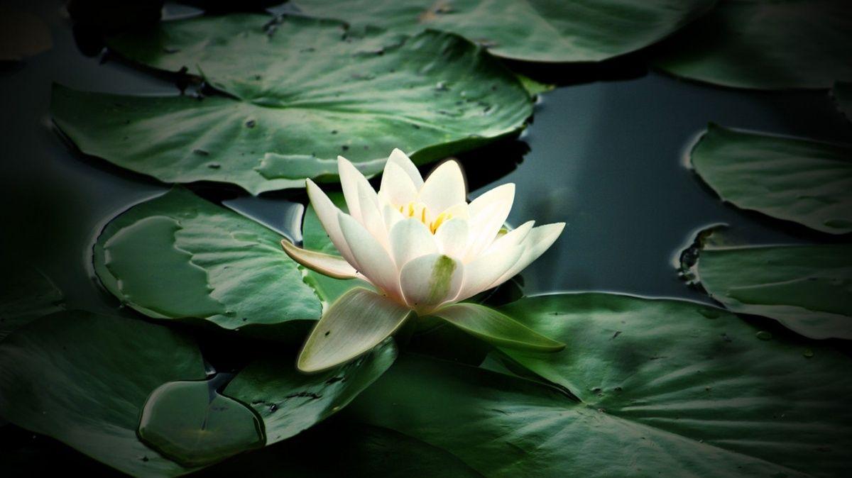 1200x674 Practicing from the inside: Vijnana Yoga