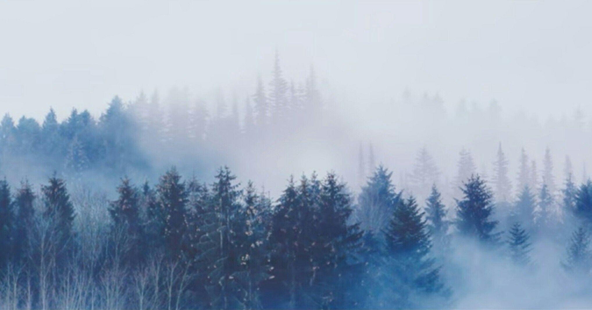 2036x1066 Hi ARMY, I want a desktop wallpaper of BTS but it should be like hidden meaning (BTS wallpaper but normal people can't see it only ARMY can say that is BTS wallpaper)