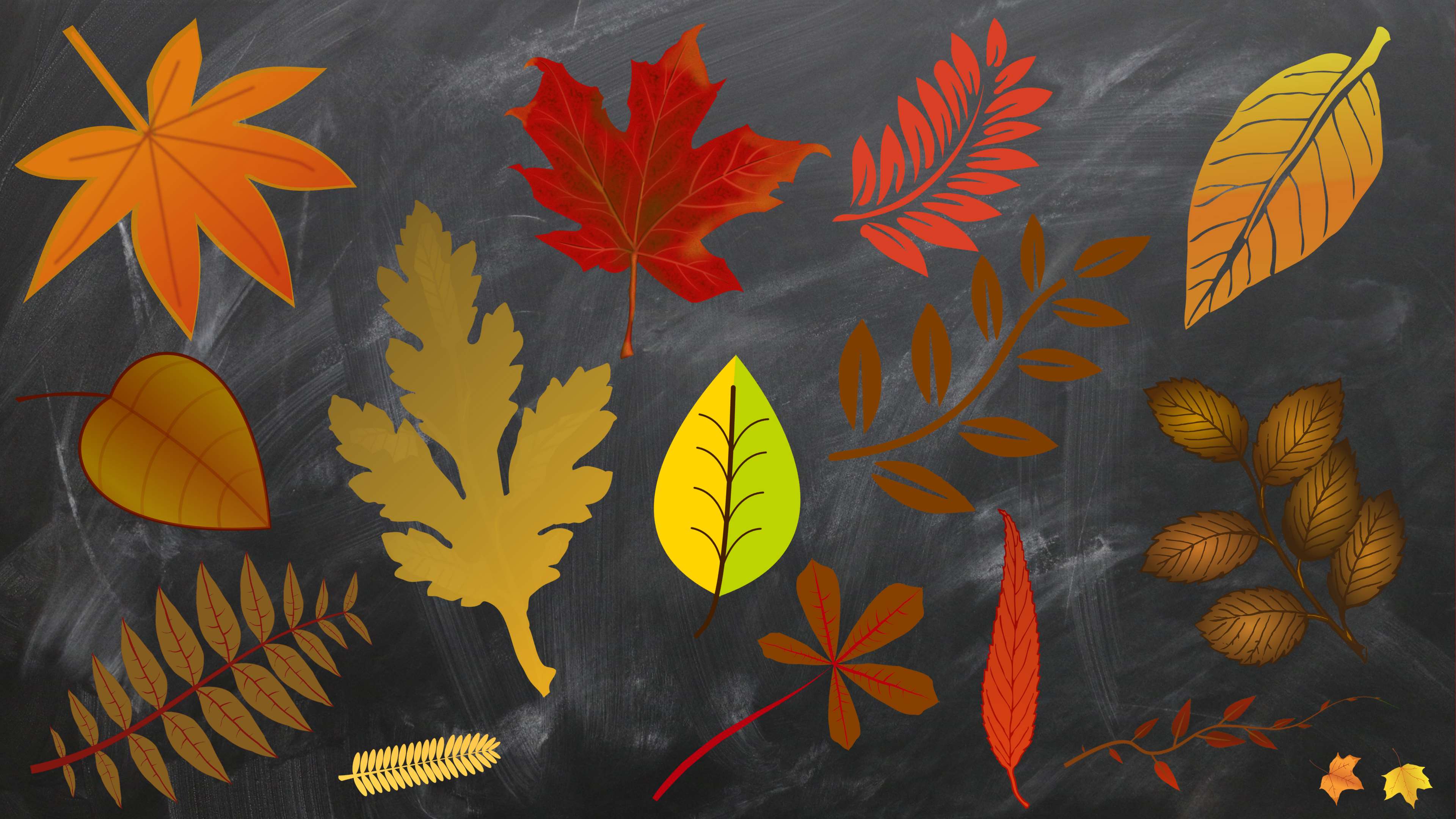 3840x2160 fall colors HD wallpaper, background