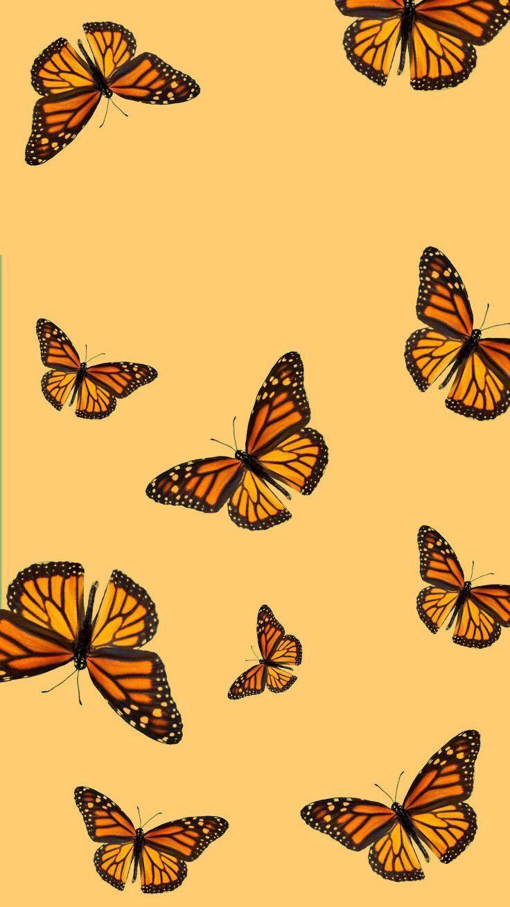 Yellow Butterflies iPhone Wallpapers - Top Free Yellow Butterflies ...