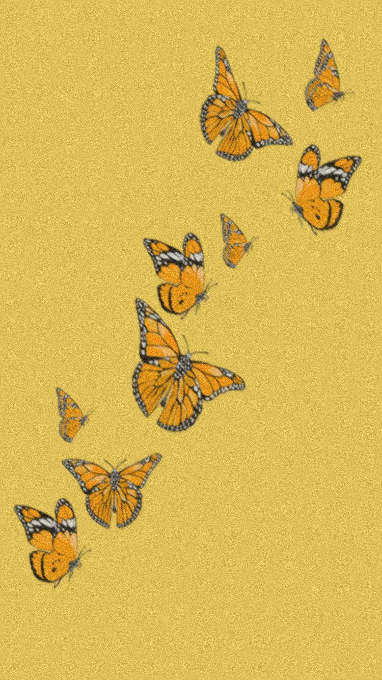 Yellow Butterflies iPhone Wallpapers - Top Free Yellow Butterflies ...