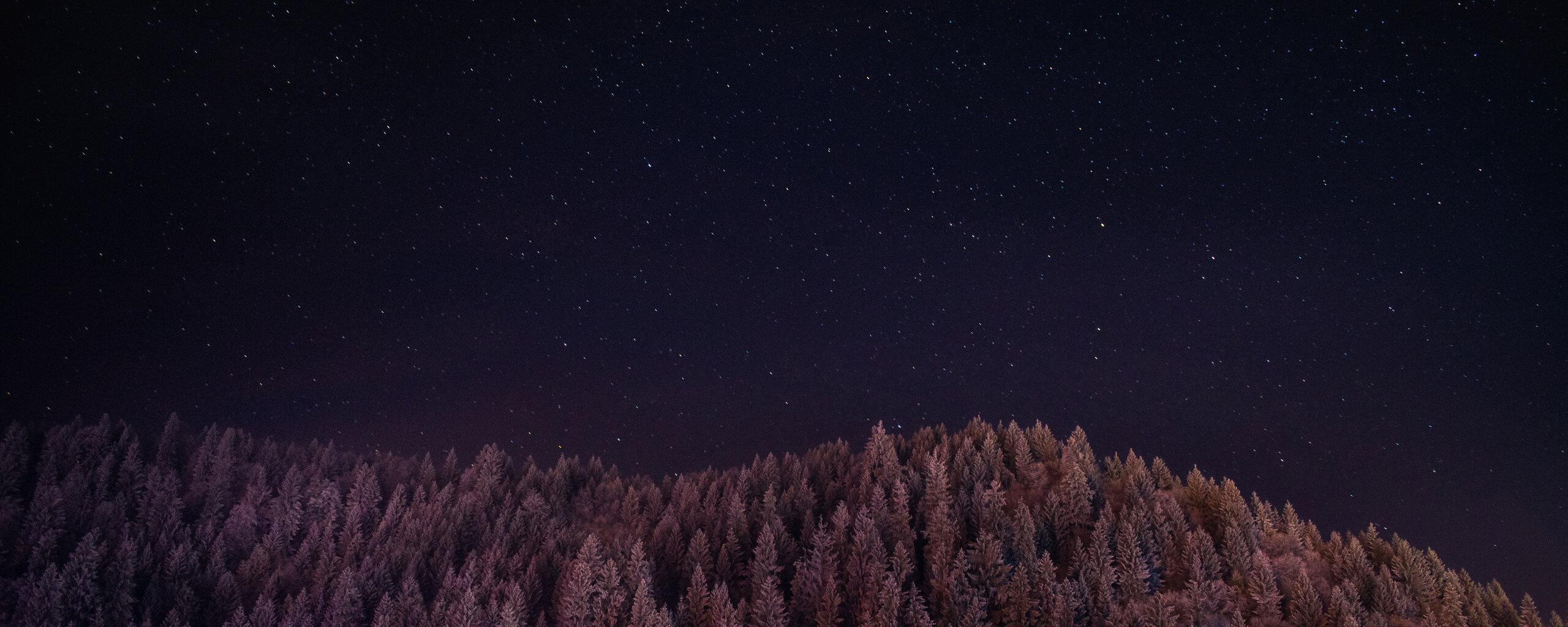 2560x1024 Stars Trees Night Dark Sky 5k 2560x1024 Resolution HD 4k Wallpaper, Image, Background, Photo and Picture