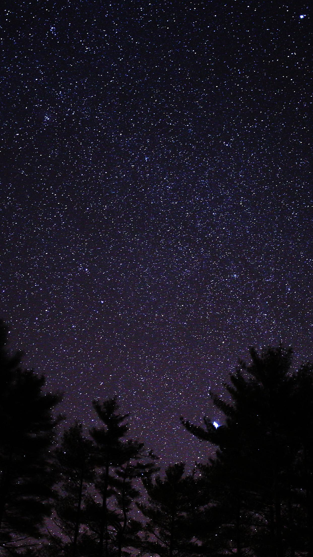 1242x2208 iPhone X wallpaper. night sky star space starry wood dark blue