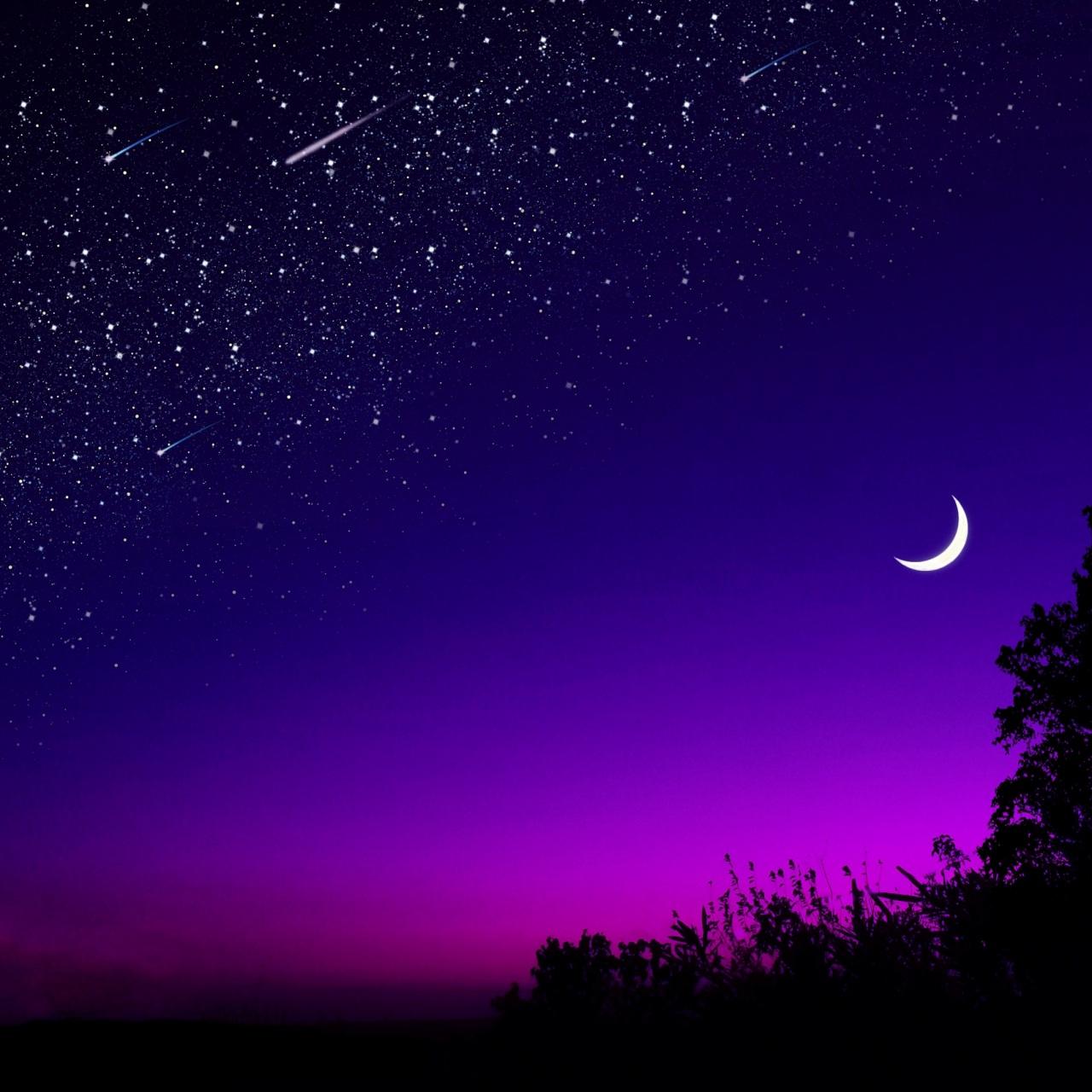 1280x1280 Wallpaper 4k moon, tree, starry sky, night, stars, dark Wallpaper