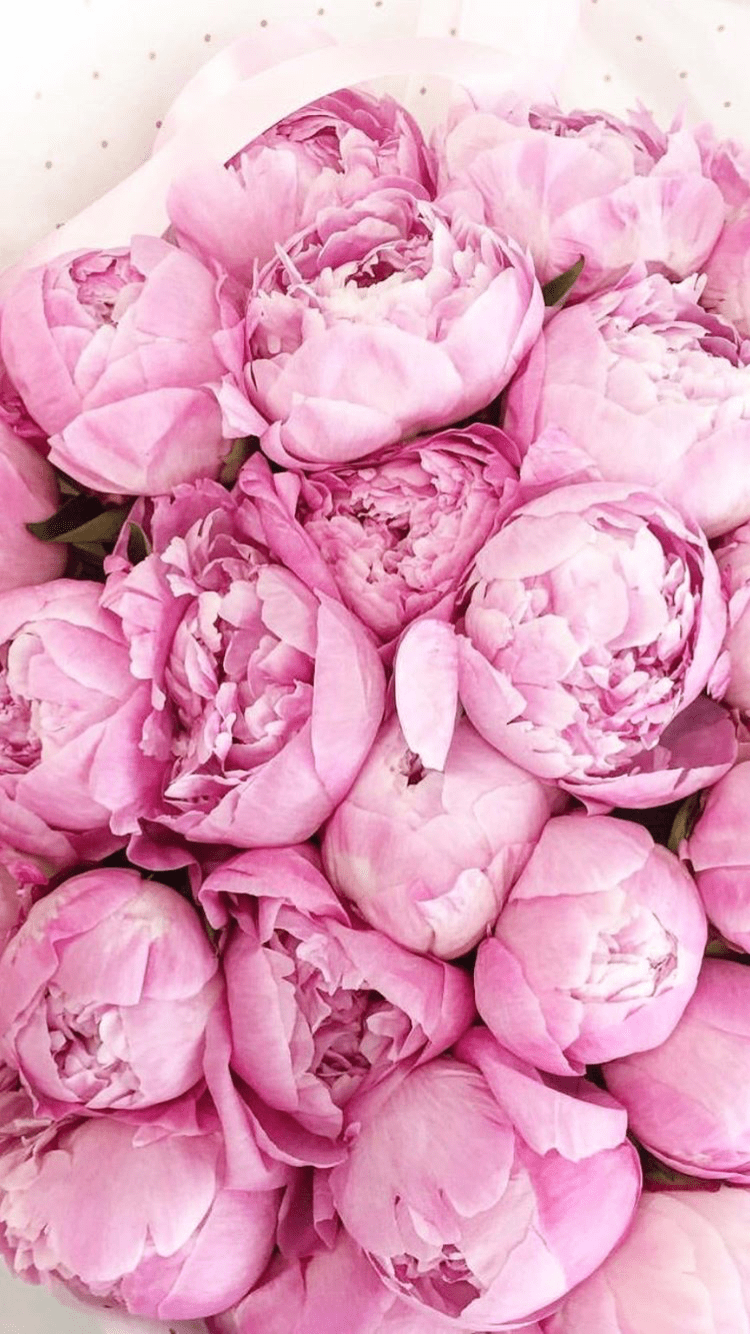 750x1334 Wallpaper IPhone