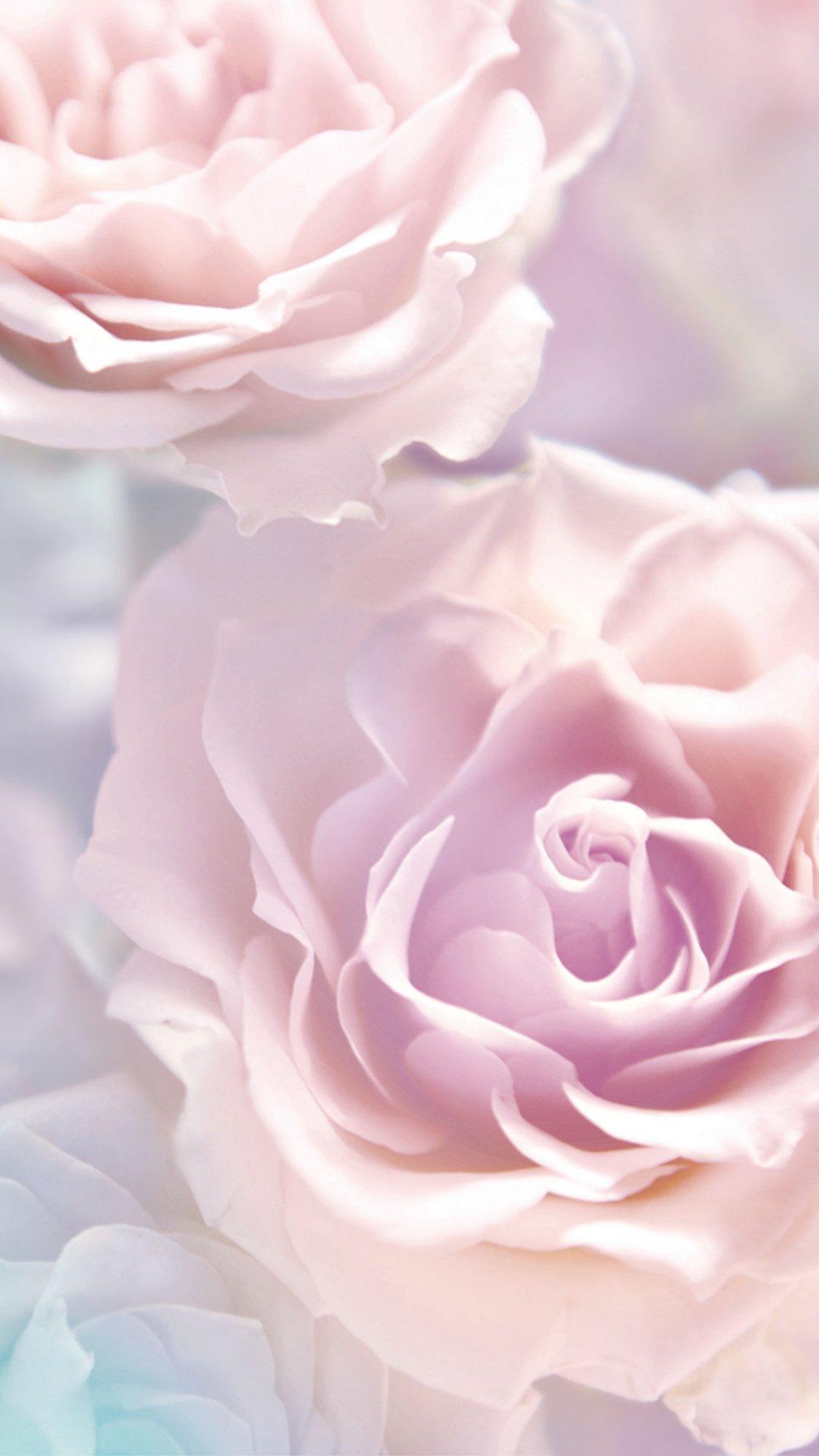1080x1920 Peony Phone Wallpaper
