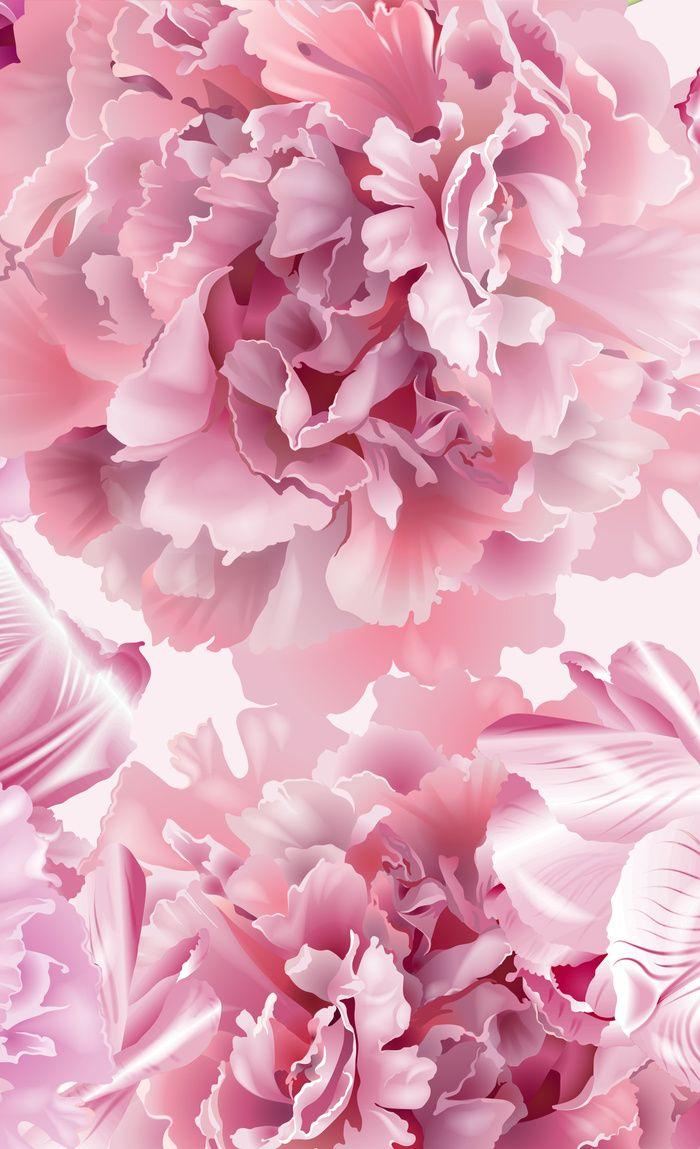 700x1149 Peony Flower HD Mobile Wallpaper