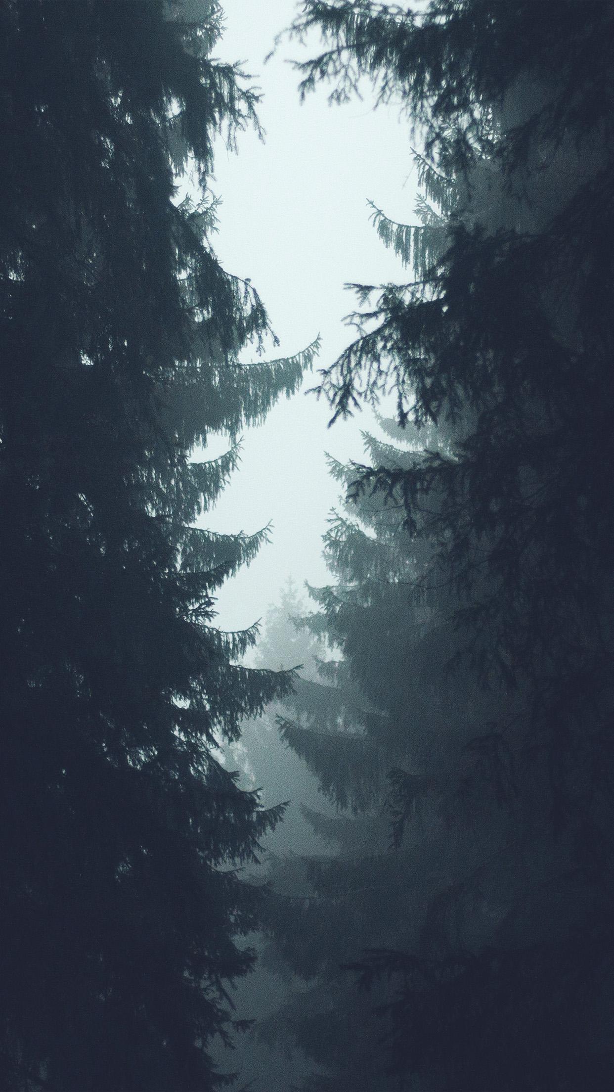 1242x2208 iPhone X wallpaper. wood tree simple nature blue