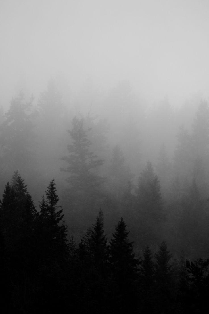 736x1104 Mysterious landscapes. best free cloud, rock, fog, and forest photo. Forest art, Pine tree drawing, Landscape picture