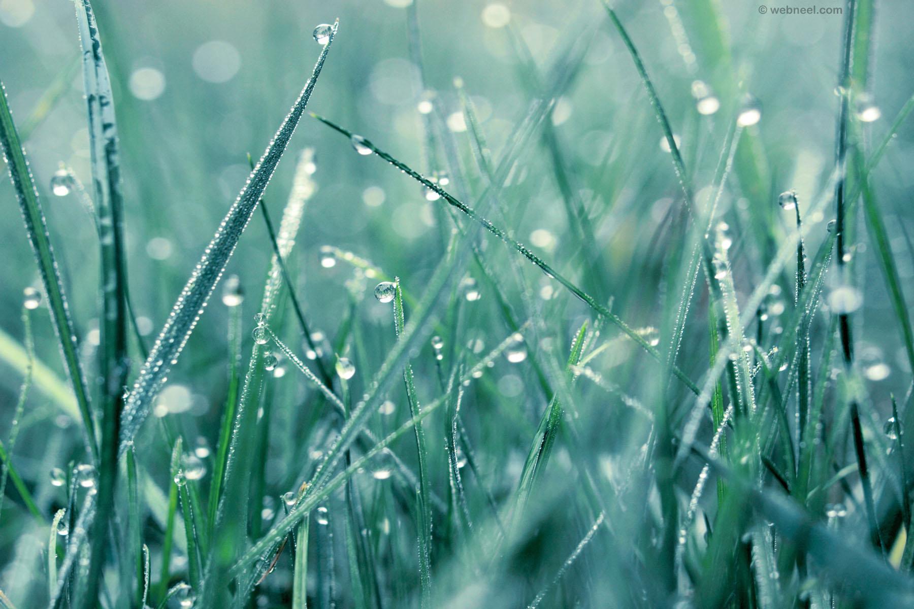 1800x1200 Rain Wallpaper Wallpaper Beautiful Rain HD Wallpaper
