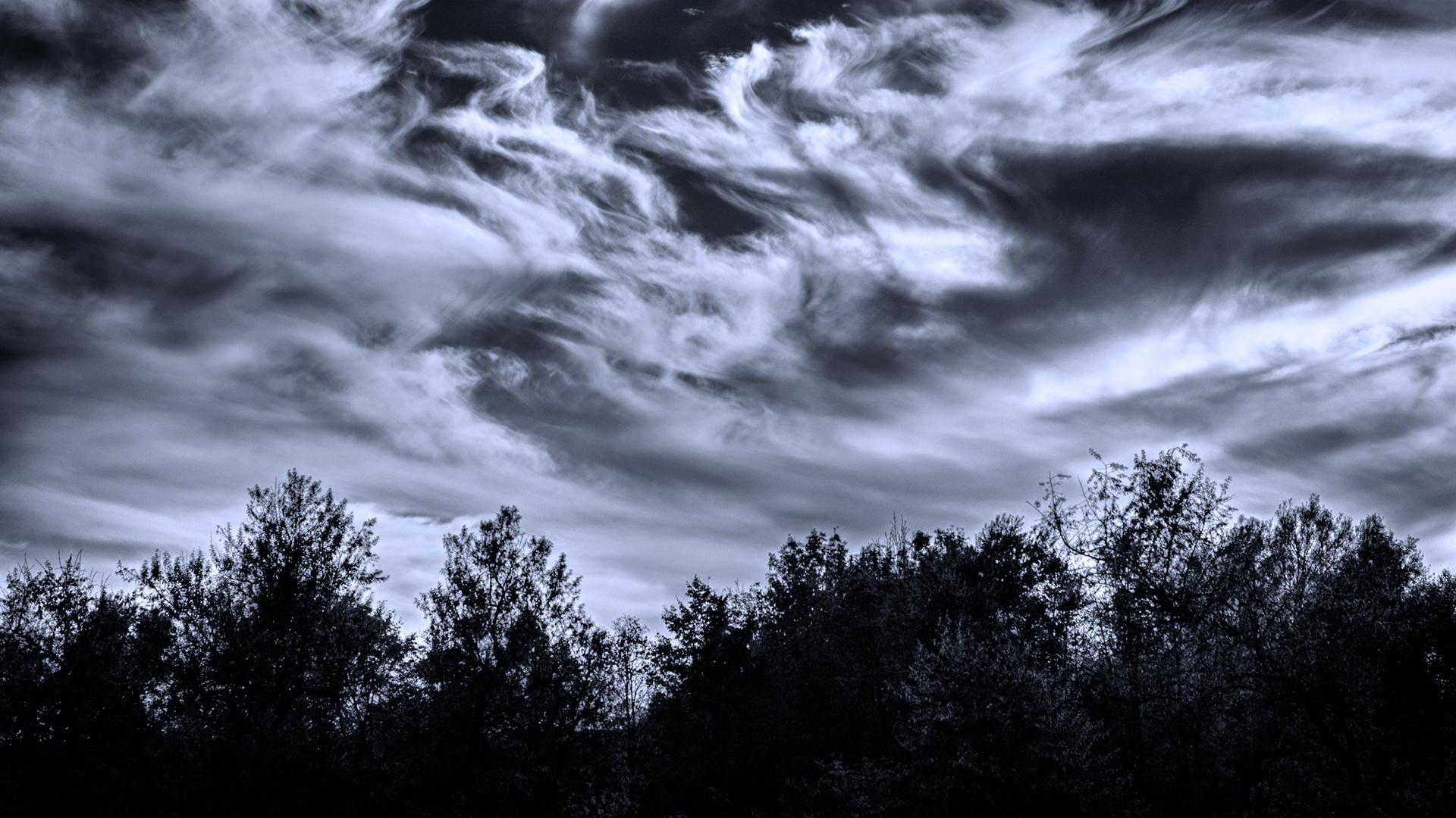 1920x1080 nature, Sky, Clouds, Light, Moon, Moonlight, Trees, Forest, Glow, Swirl, Weather Wallpaper HD / Desktop and Mobile Background