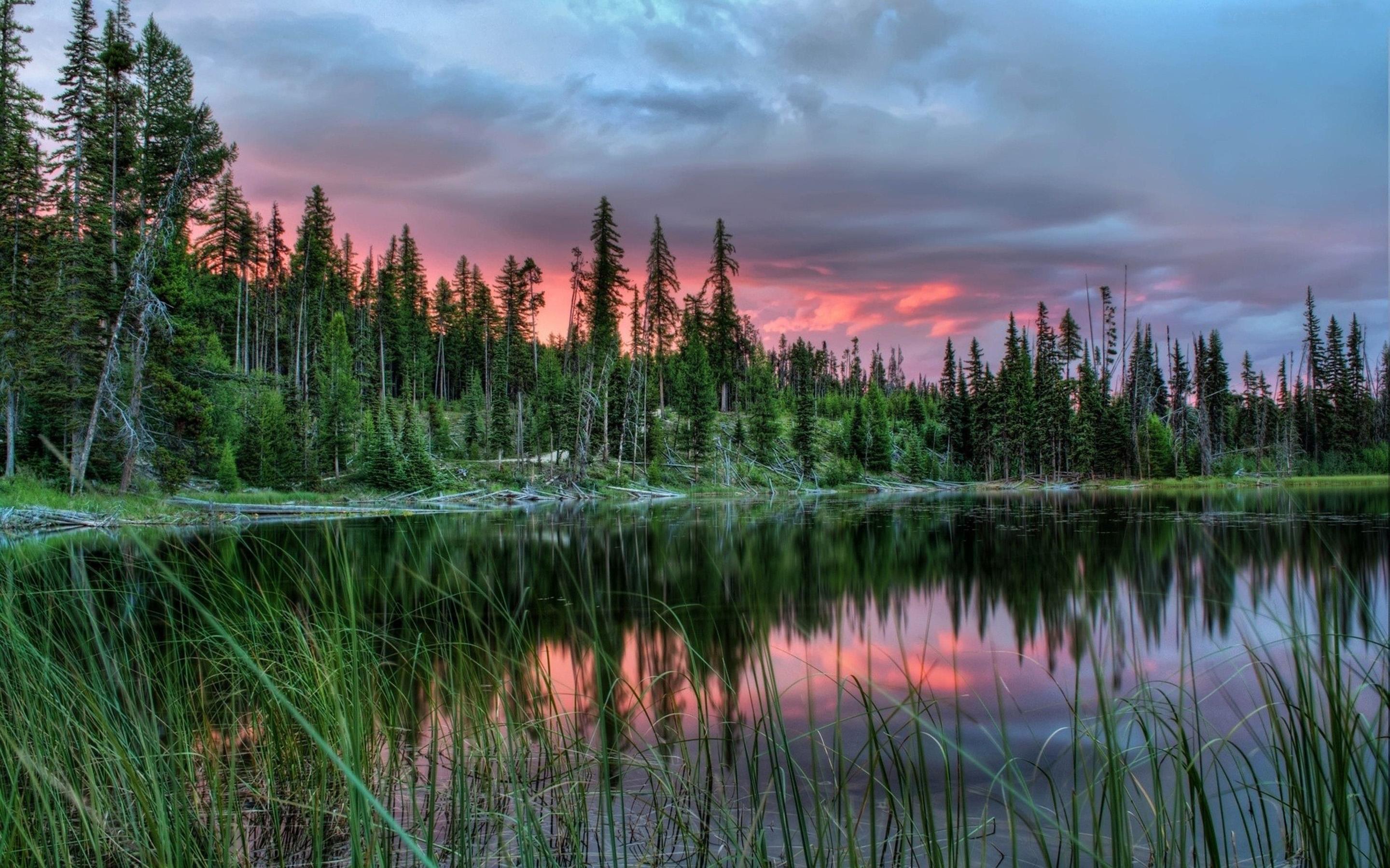 2880x1800 Calm Lake Water Pine Forest Dark Cloud Wallpaper HD 52017 :