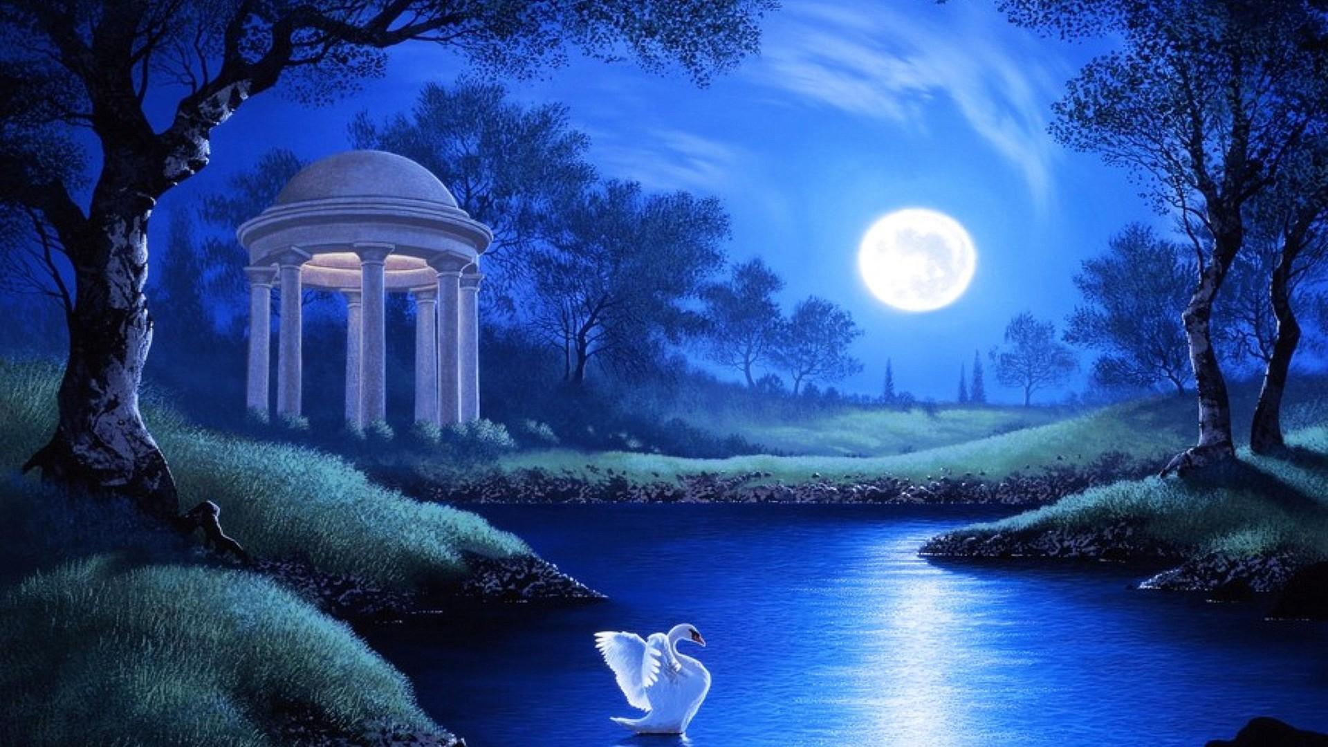 1920x1080 Swan Lake Night Full Moon Trees Grass HD Wallpaper :