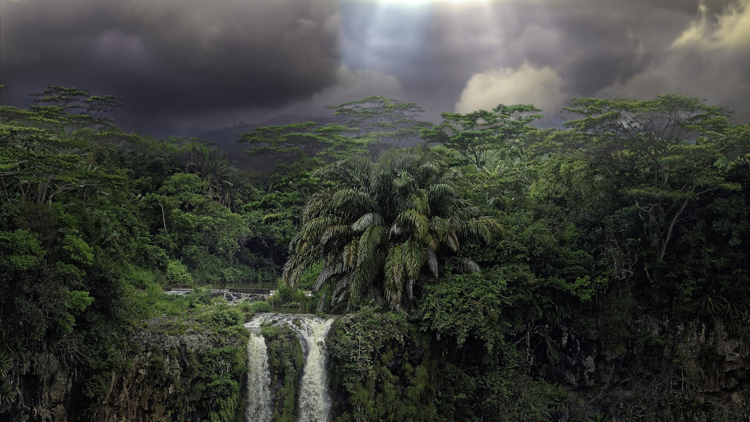 2560x1440 Waterfalls Green Trees Forest Background Under Black Clouds Blue Sky HD Nature Wallpaper