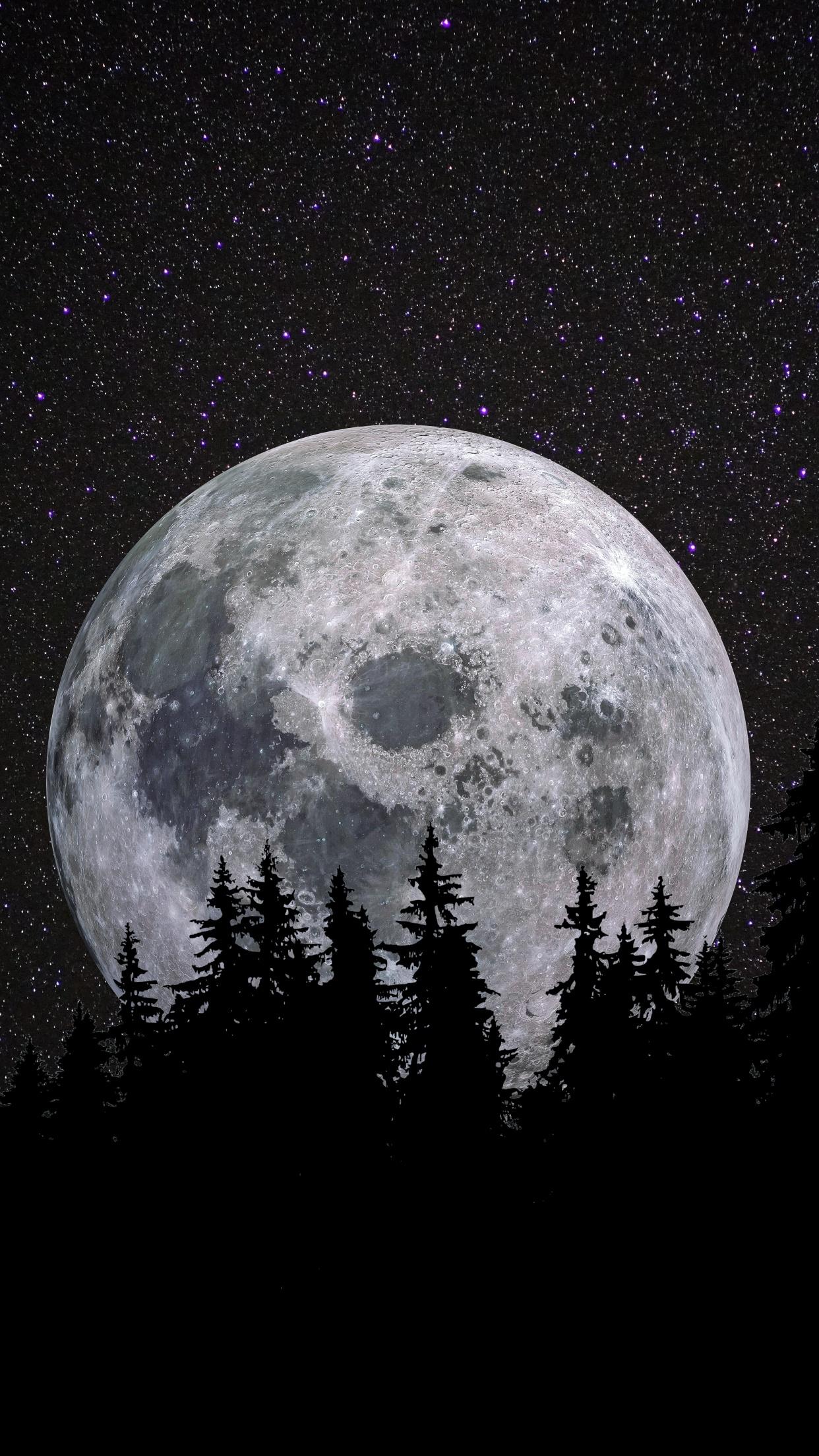 1242x2208 Full moon Wallpaper 4K, Forest, Night, Dark, Starry sky