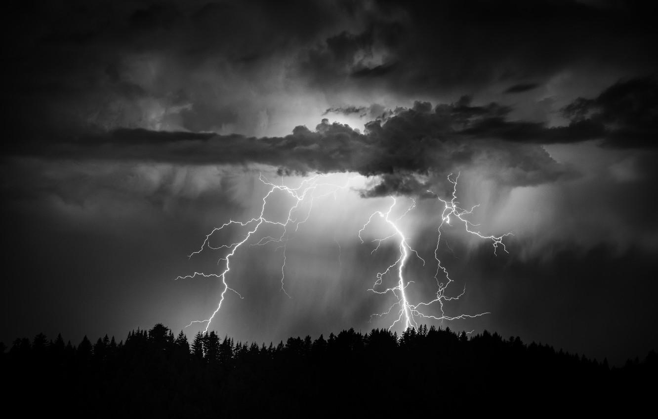 1332x850 Wallpaper forest, the sky, night, clouds, lightning image for desktop, section природа