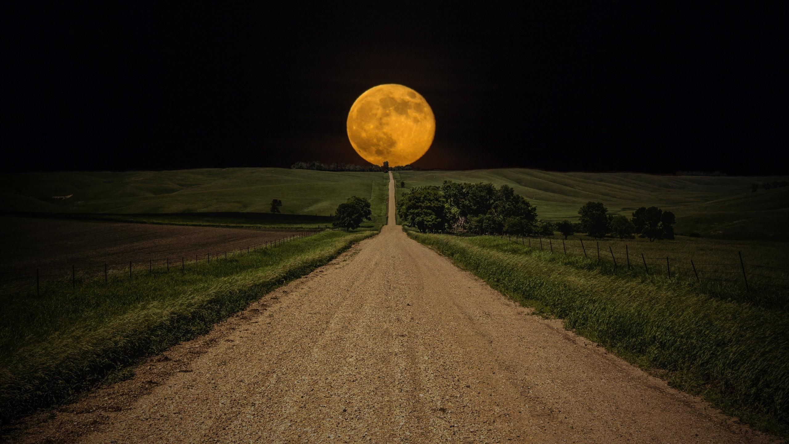 2560x1440 Yellow Full Moon desktop PC and Mac wallpaper
