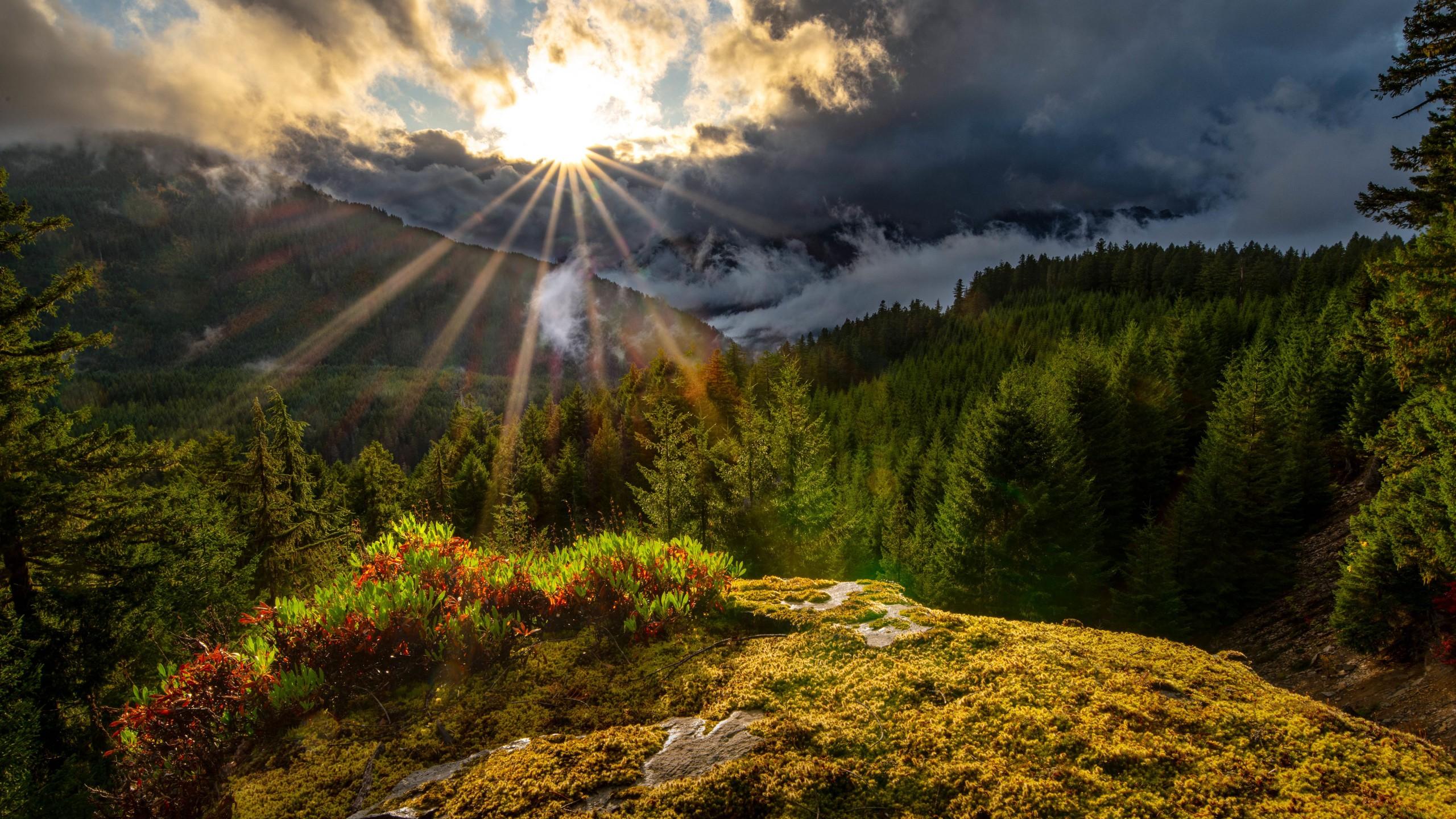 2560x1440 Cascade Range Forest And Landscape Of Mountains With Sunbeam Under Black Cloudy Sky 4K 5K HD Nature Wallpaper